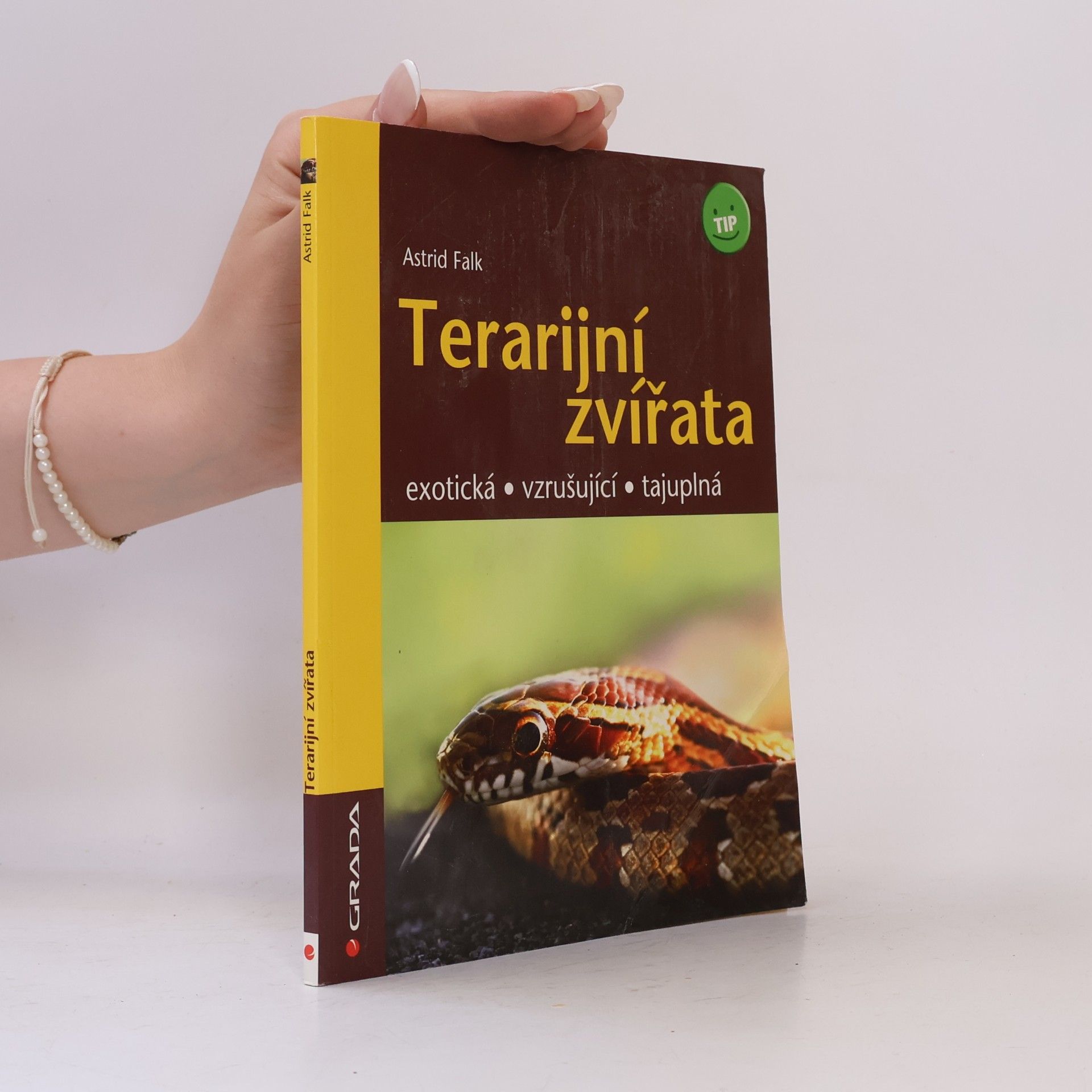 Astrid Falk Terarijní zvířata - exotická, vzrušující, tajuplná