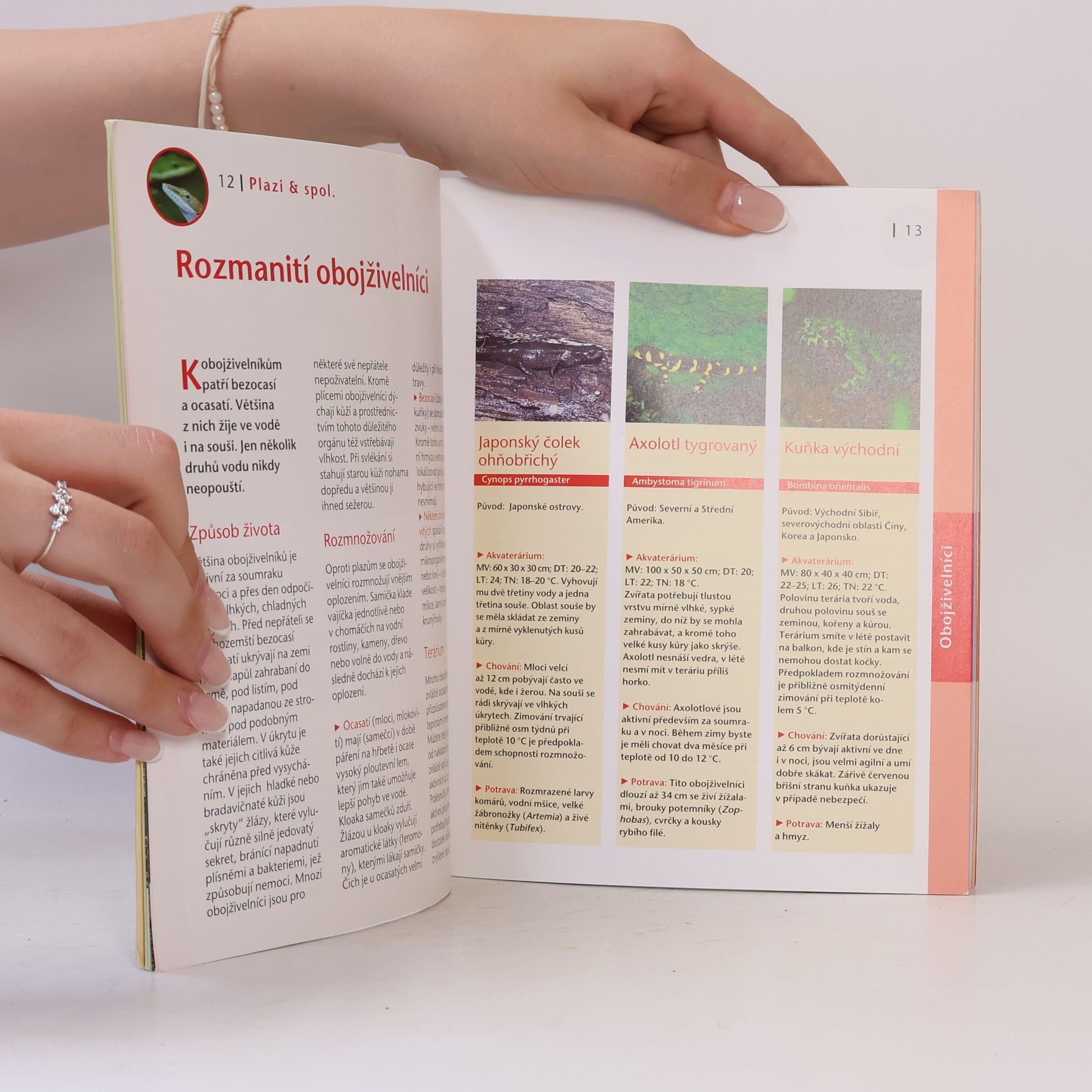 Astrid Falk Terarijní zvířata - exotická, vzrušující, tajuplná