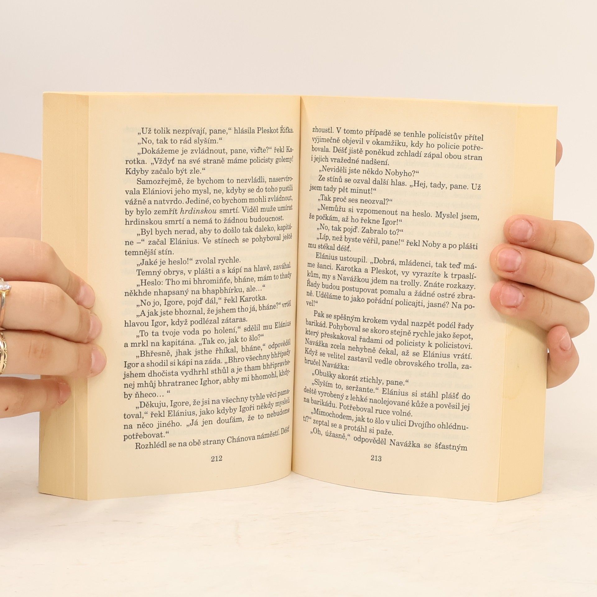 Terry Pratchett Buch!