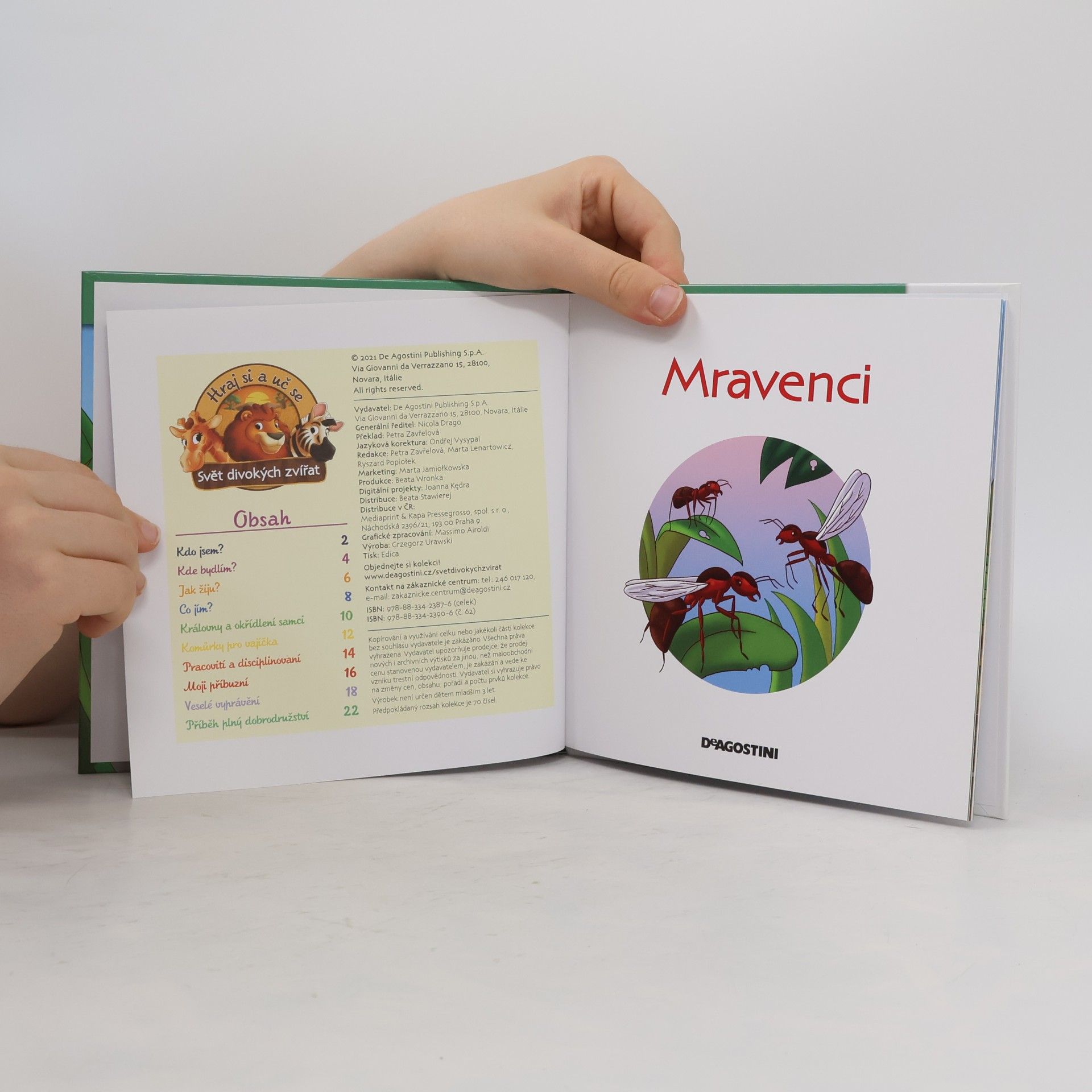Kolektív autorov Bydlím v lese 62. Mravenci