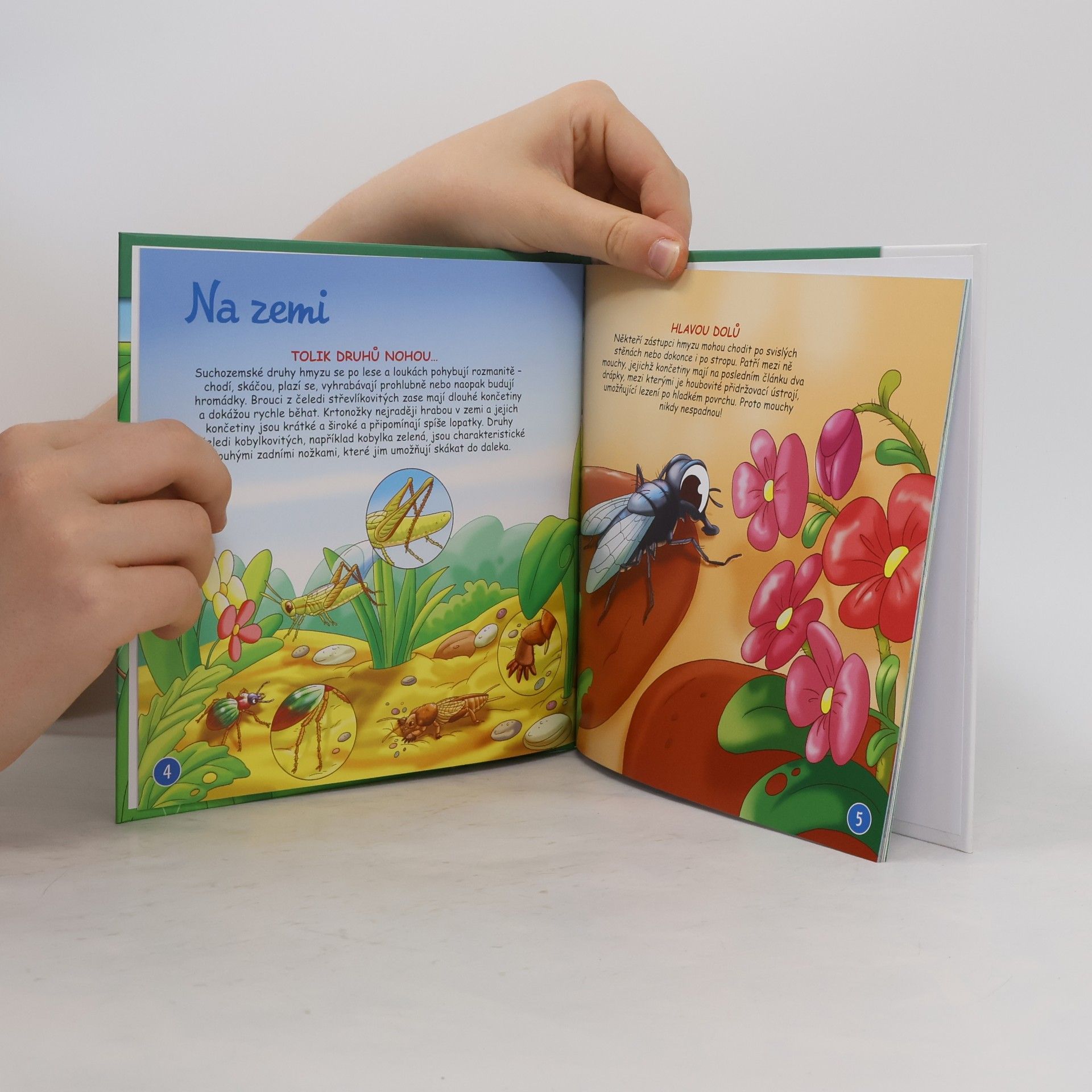 Autores varios Bydlím v lese 63. Hmyz