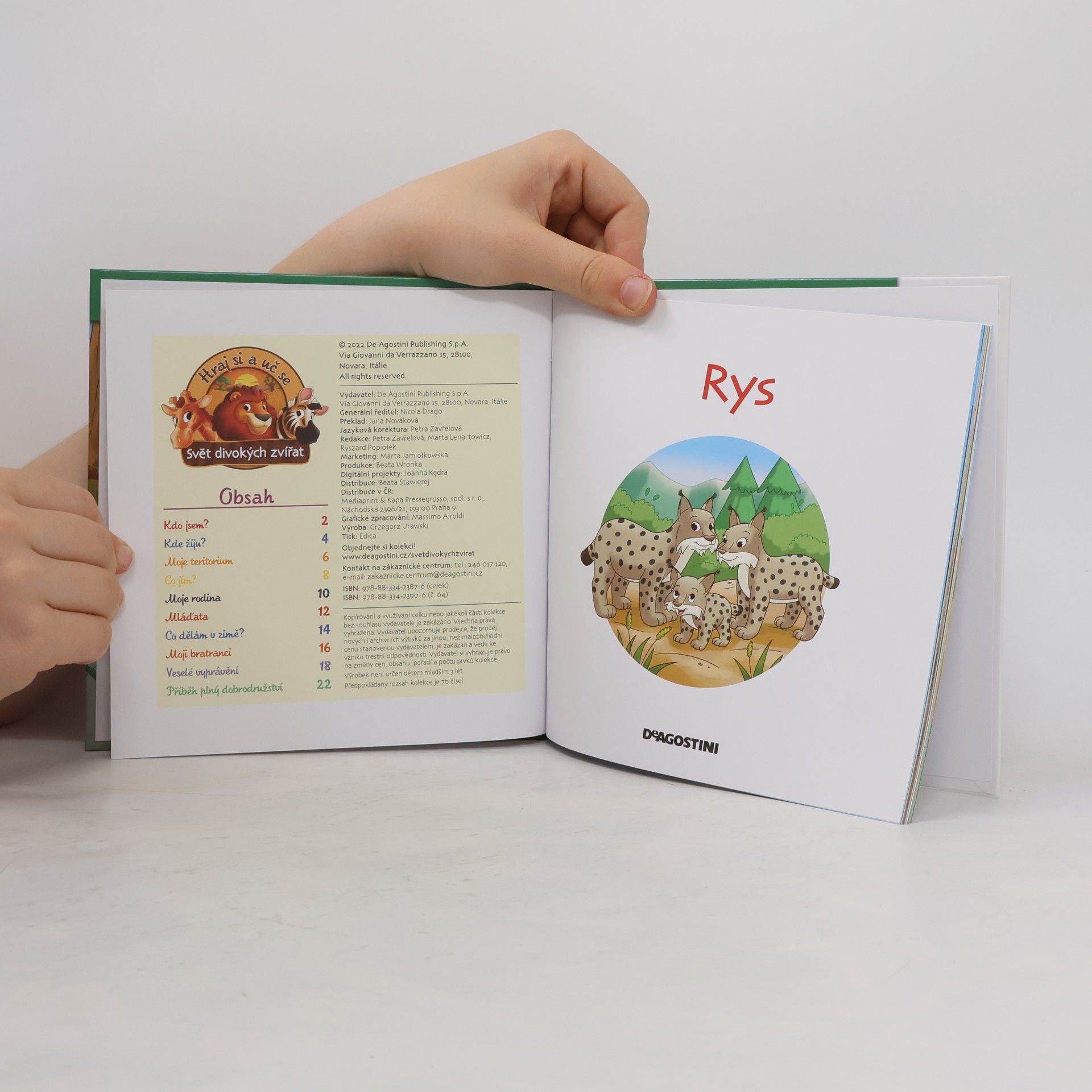 Kolektiv autorů Bydlím v lese 64. Rys