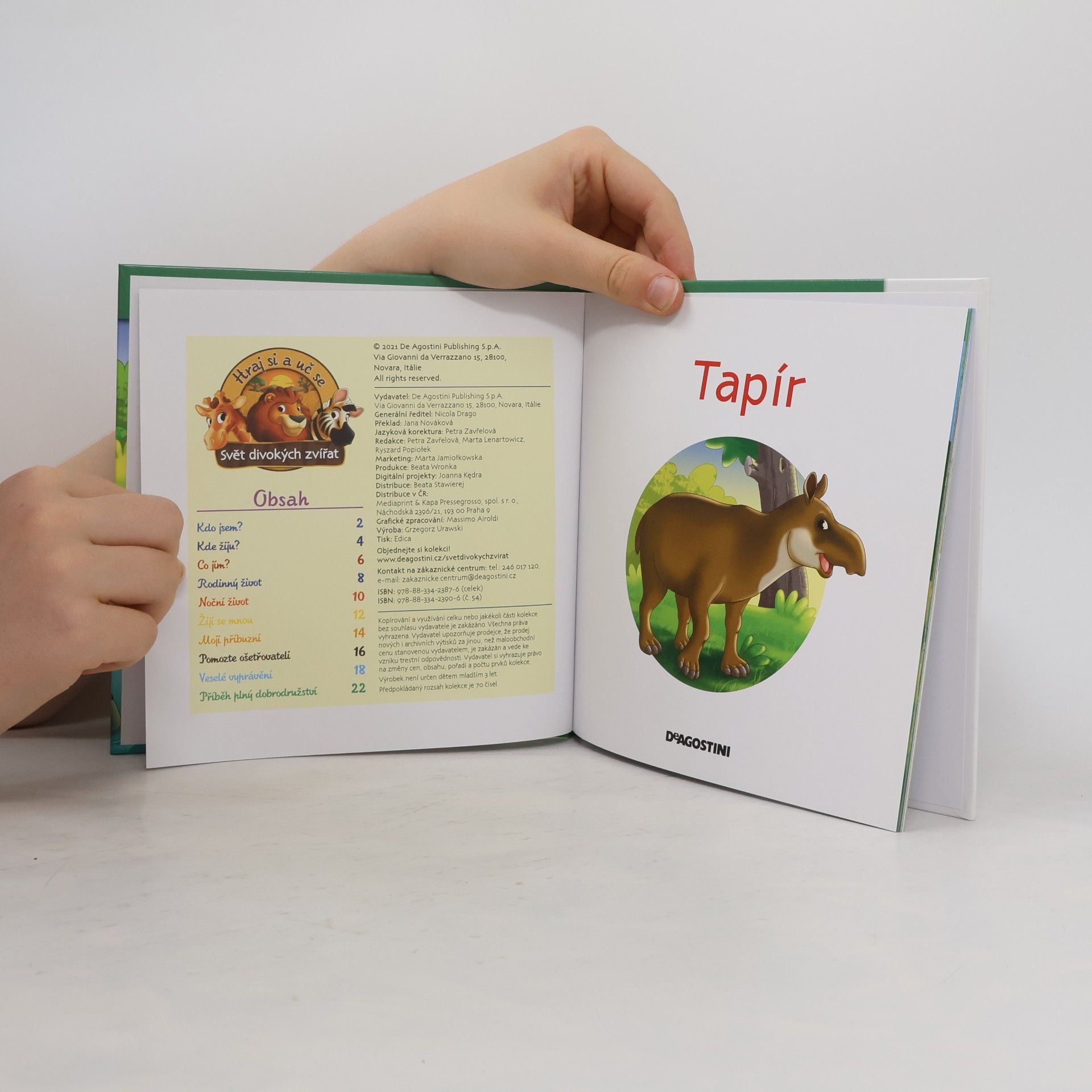 Autorenkollektiv Bydlím v lese 54. Tapír