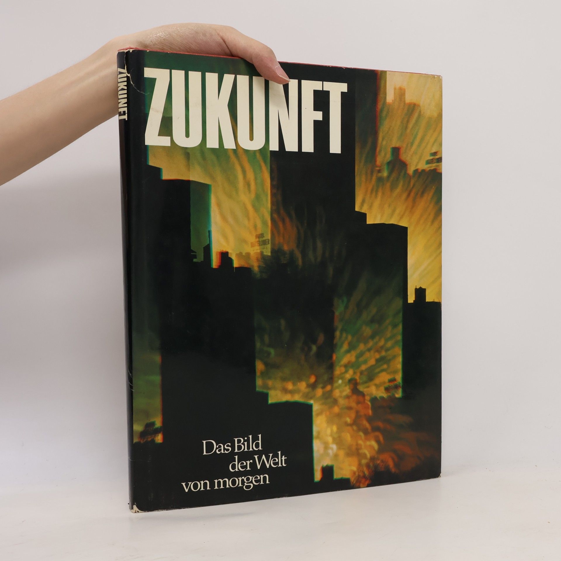 Ulrich Schippke Zukunft. Das Bild der Welt von morgen
