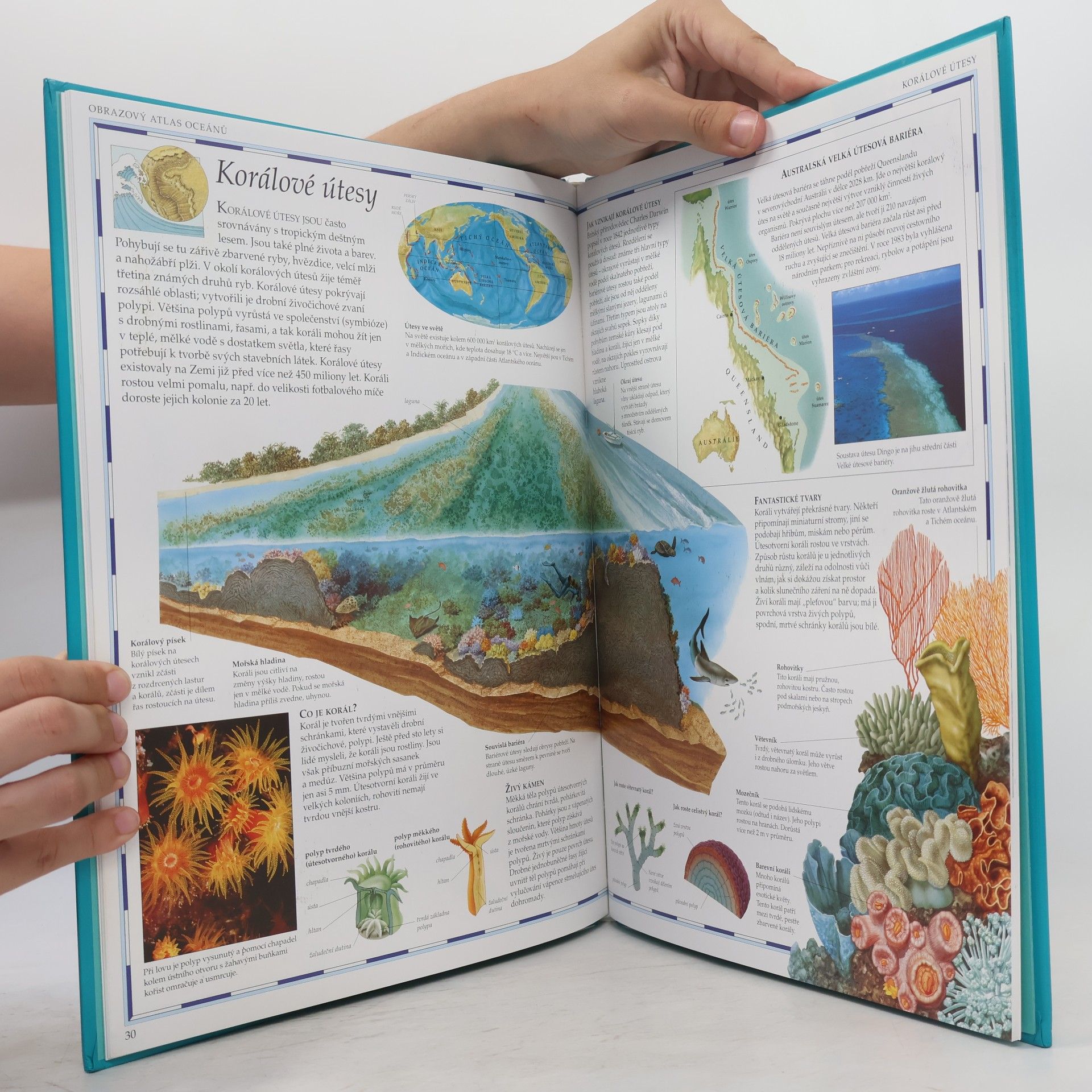 Dobroslav Matějka Obrazový atlas oceánů