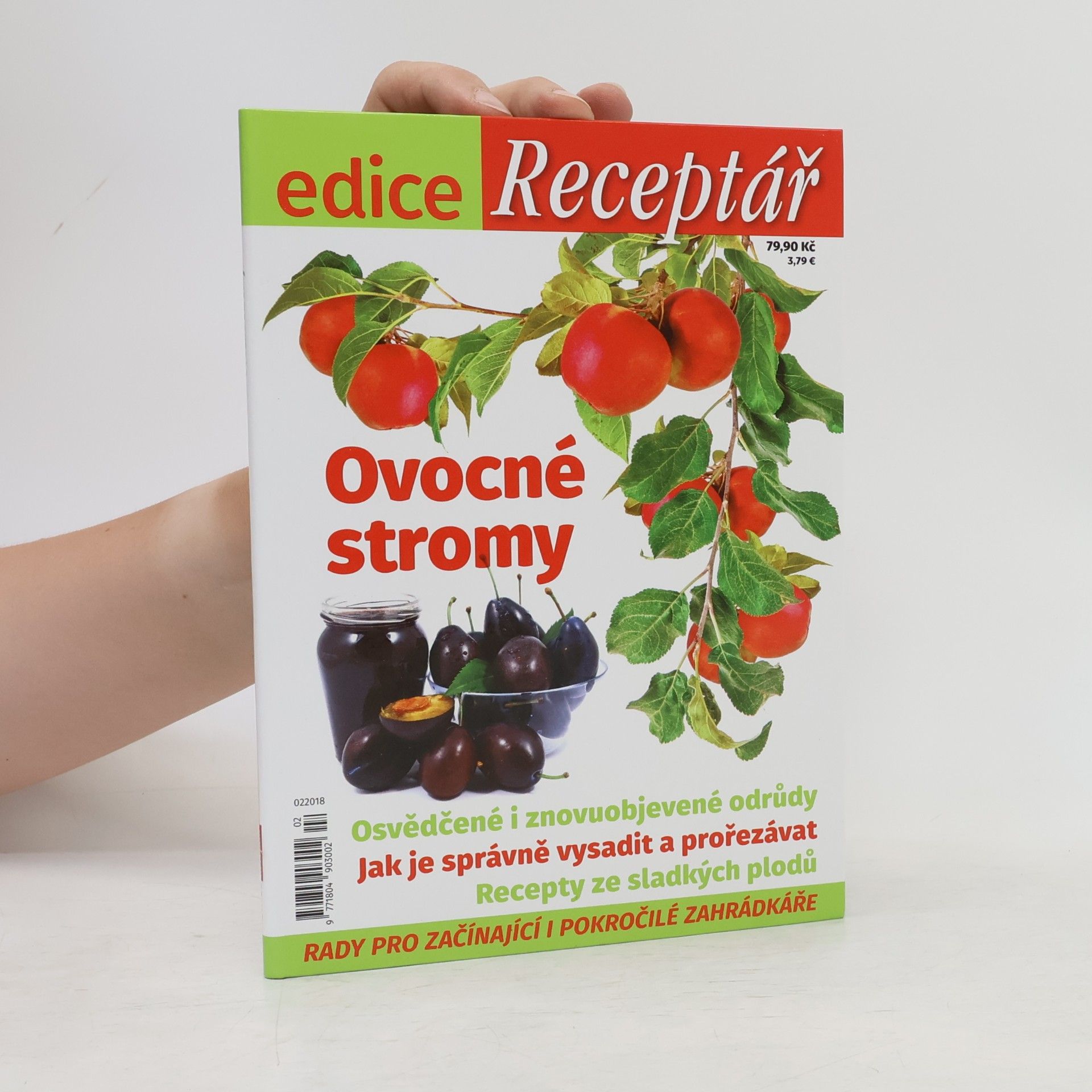 Autorenkollektiv Ovocné stromy