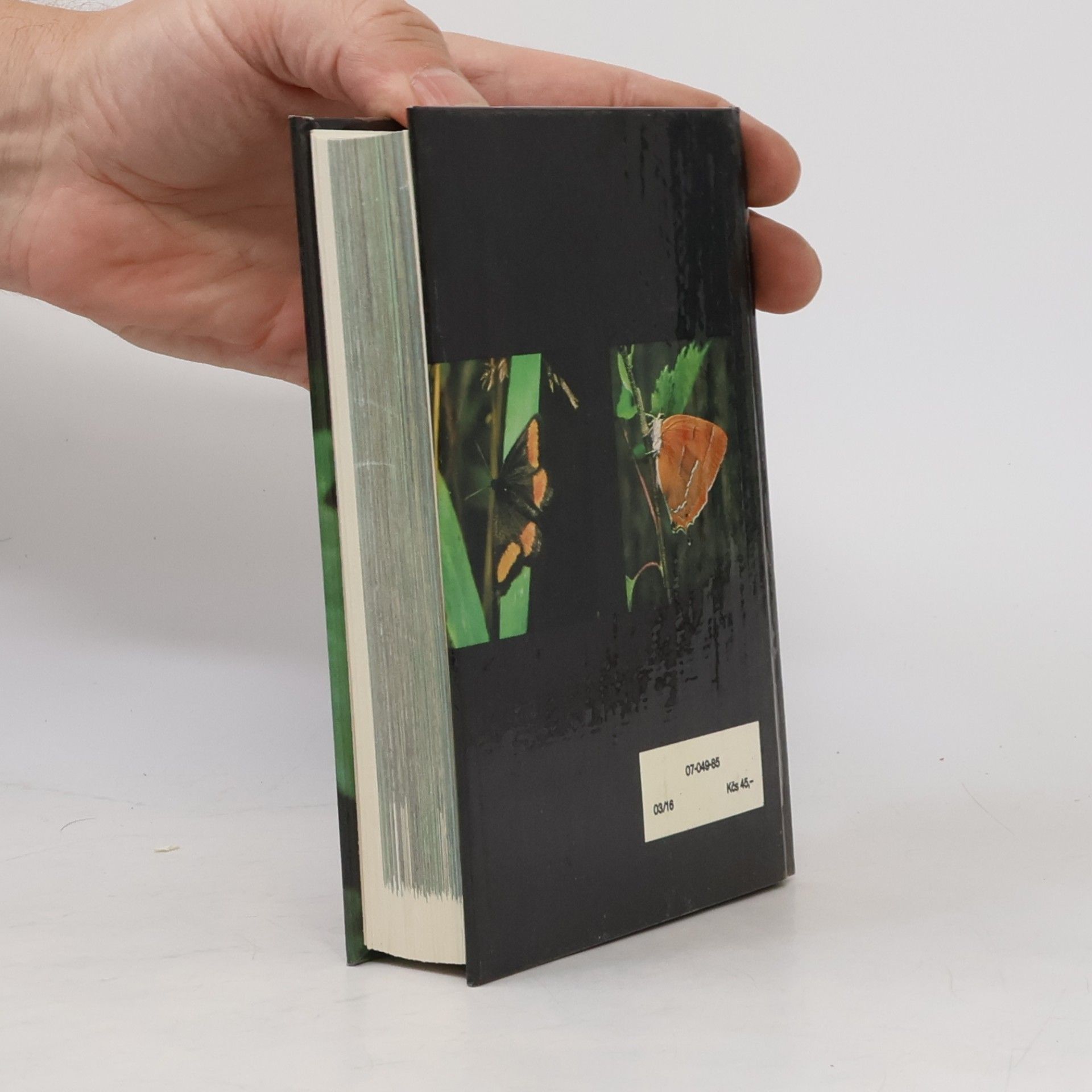 Rudolf Hrabák Kapesní atlas našich motýlů