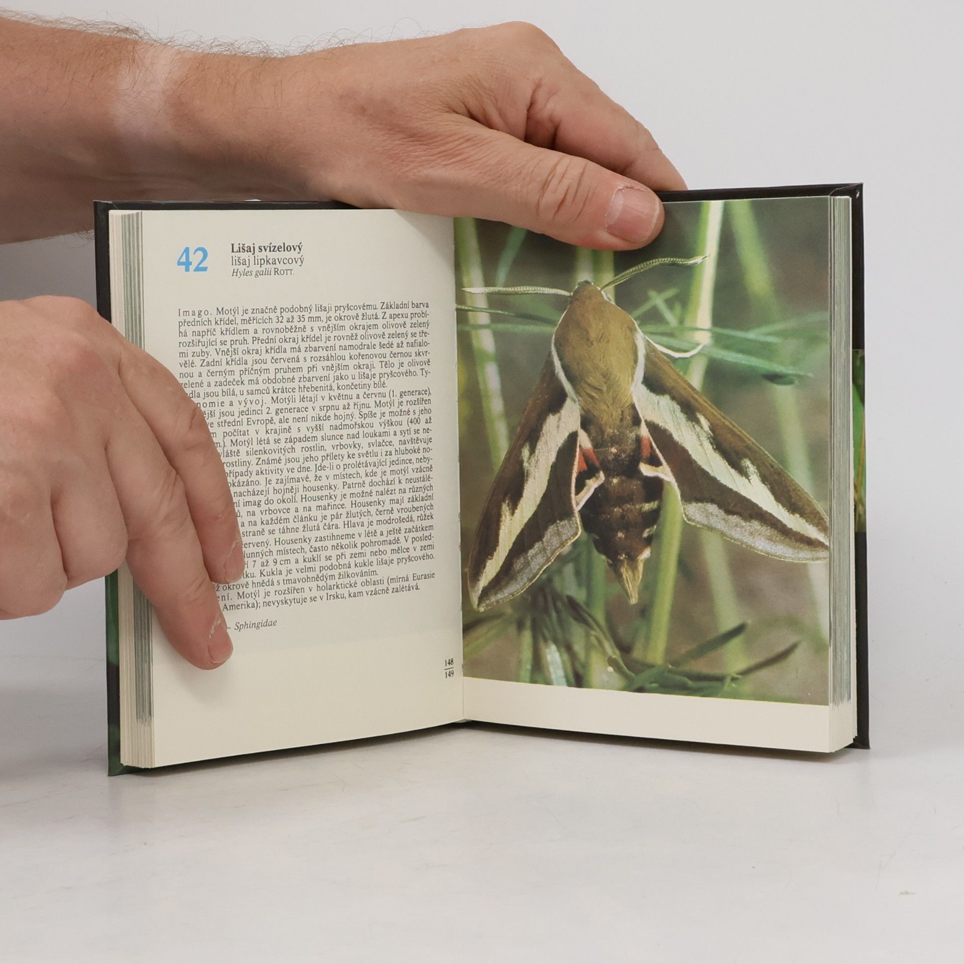 Rudolf Hrabák Kapesní atlas našich motýlů