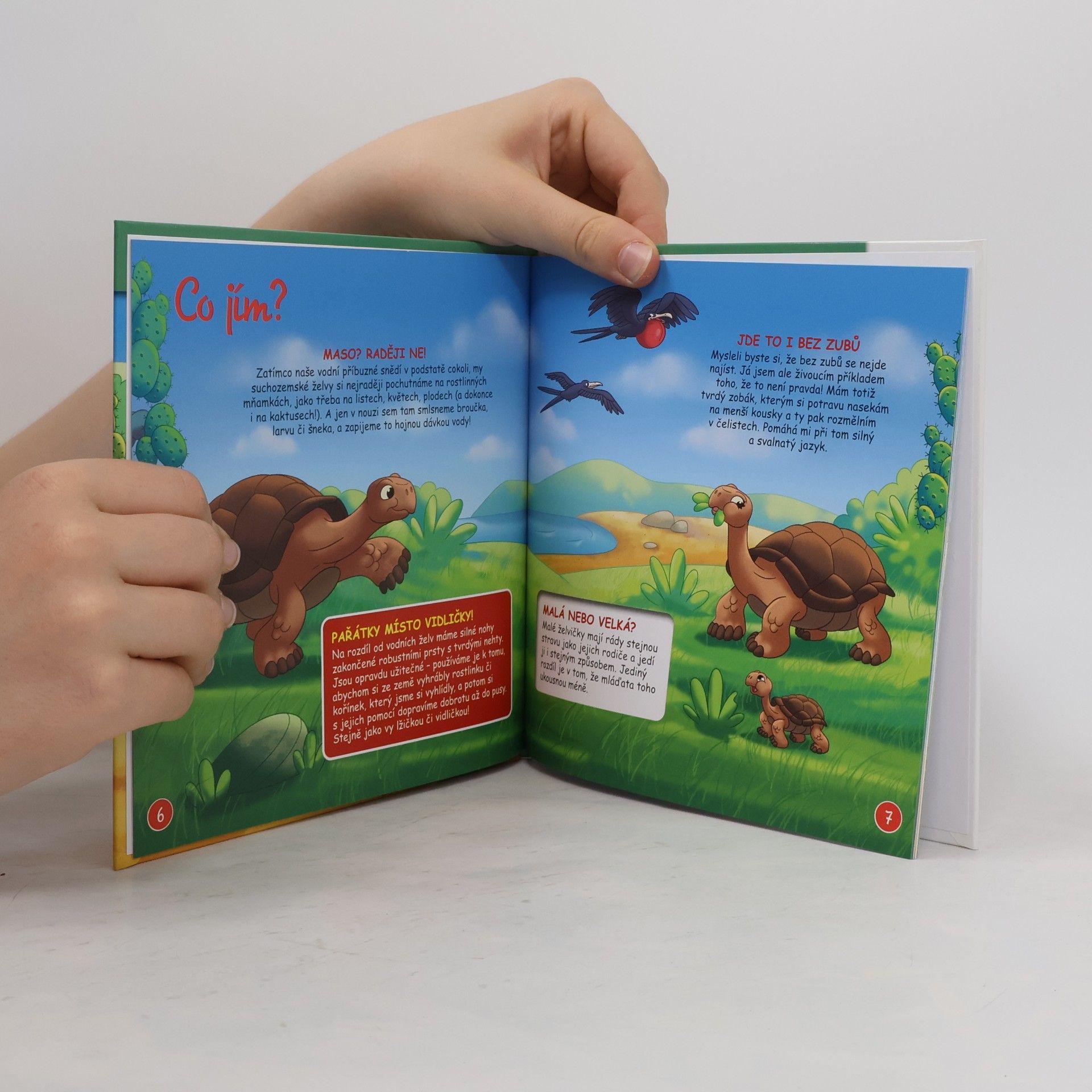 Autores varios Bydlím v lese 26. Želva sloní