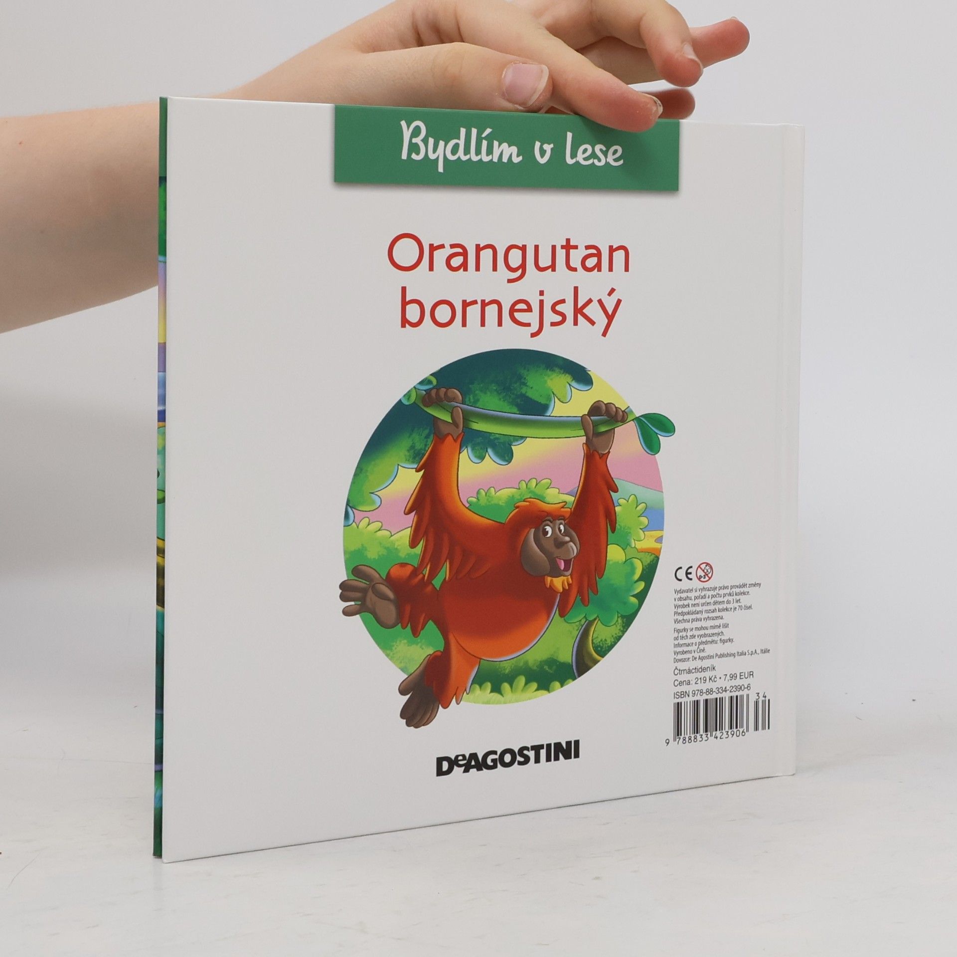 Collectif d'auteurs Bydlím v lese 27. Orangutan bornejský