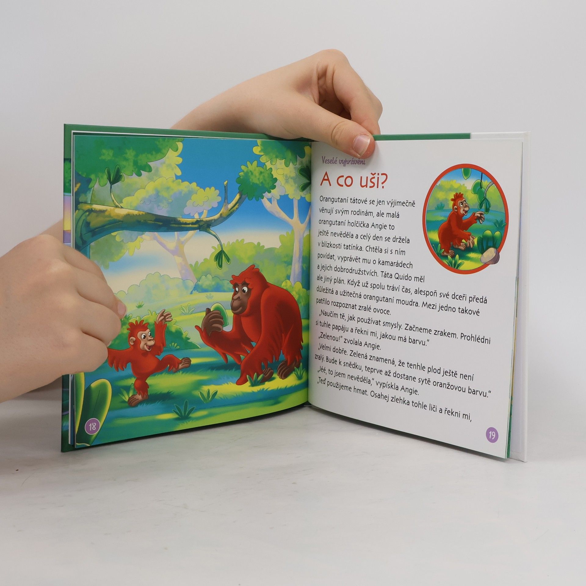 Collectif d'auteurs Bydlím v lese 27. Orangutan bornejský
