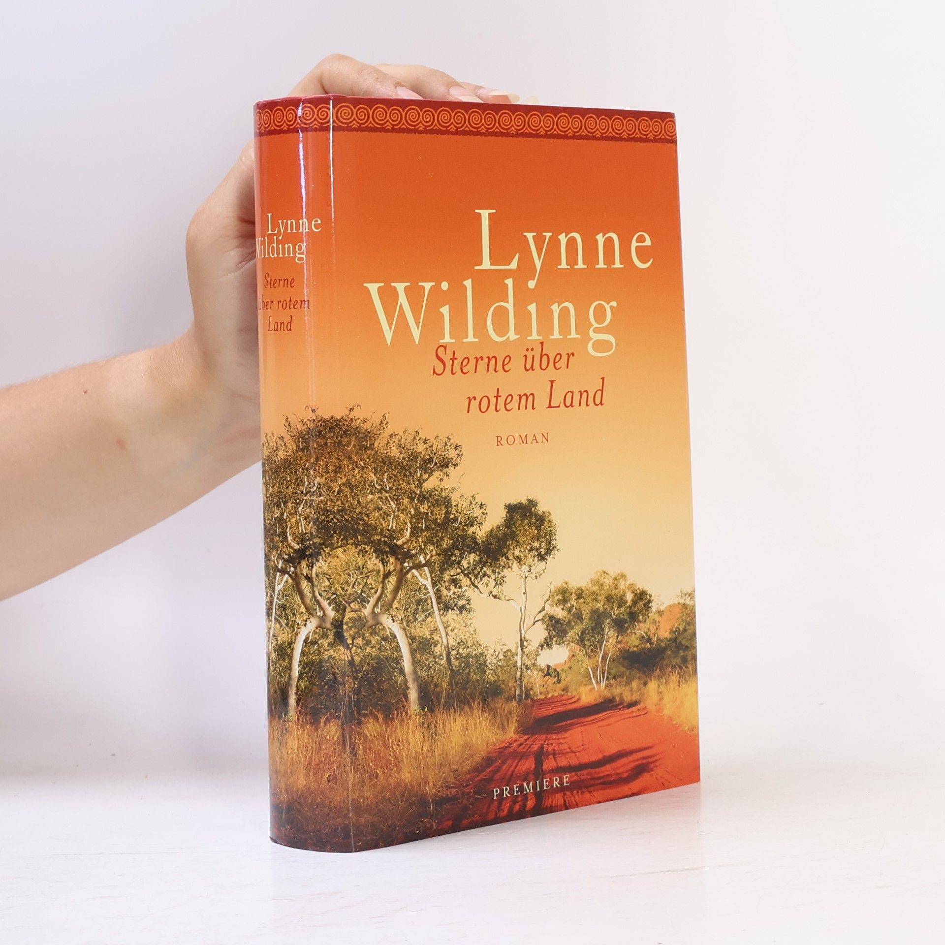 Lynne Wilding Sterne über rotem Land