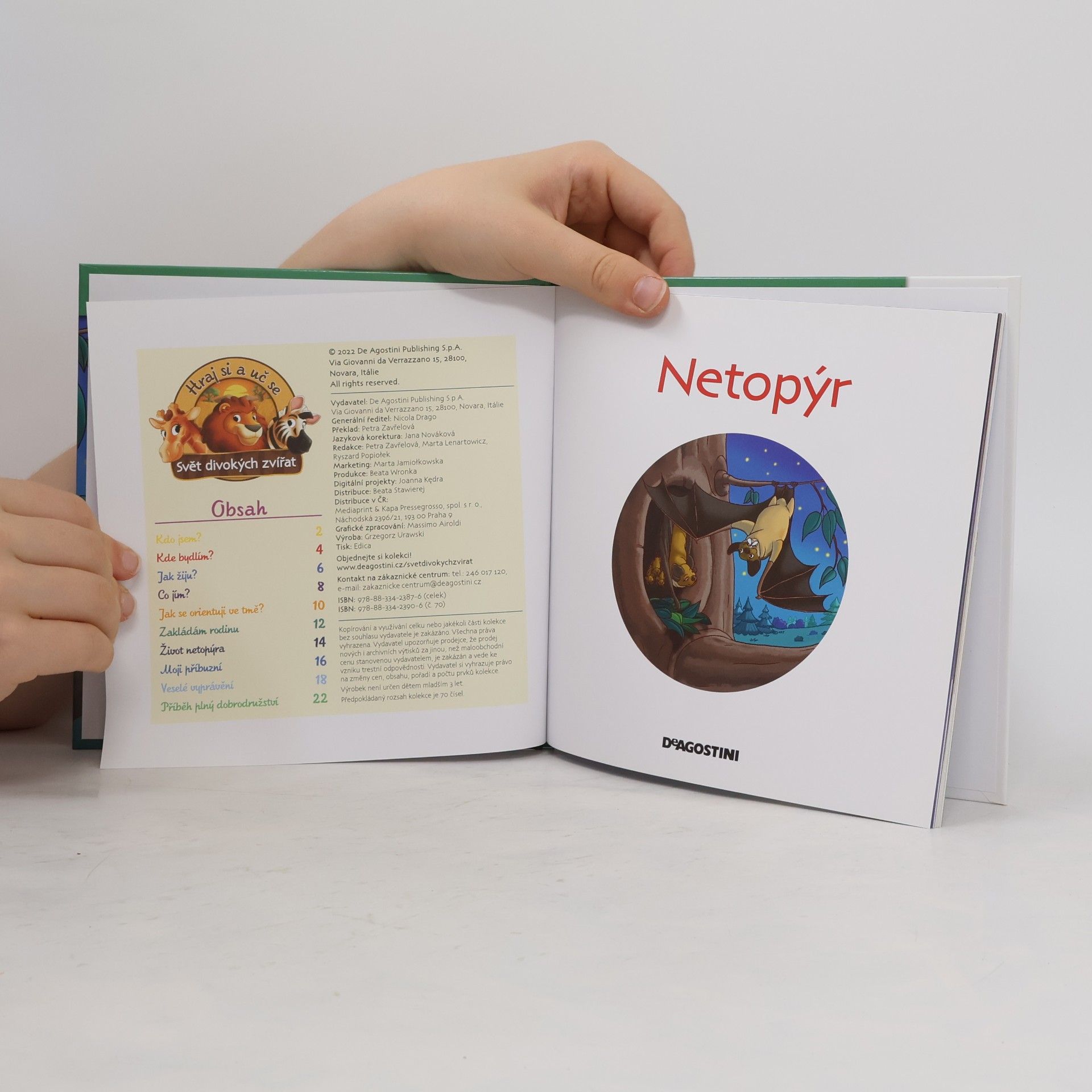 Kolektiv autorů Bydlím v lese 70. Netopýr