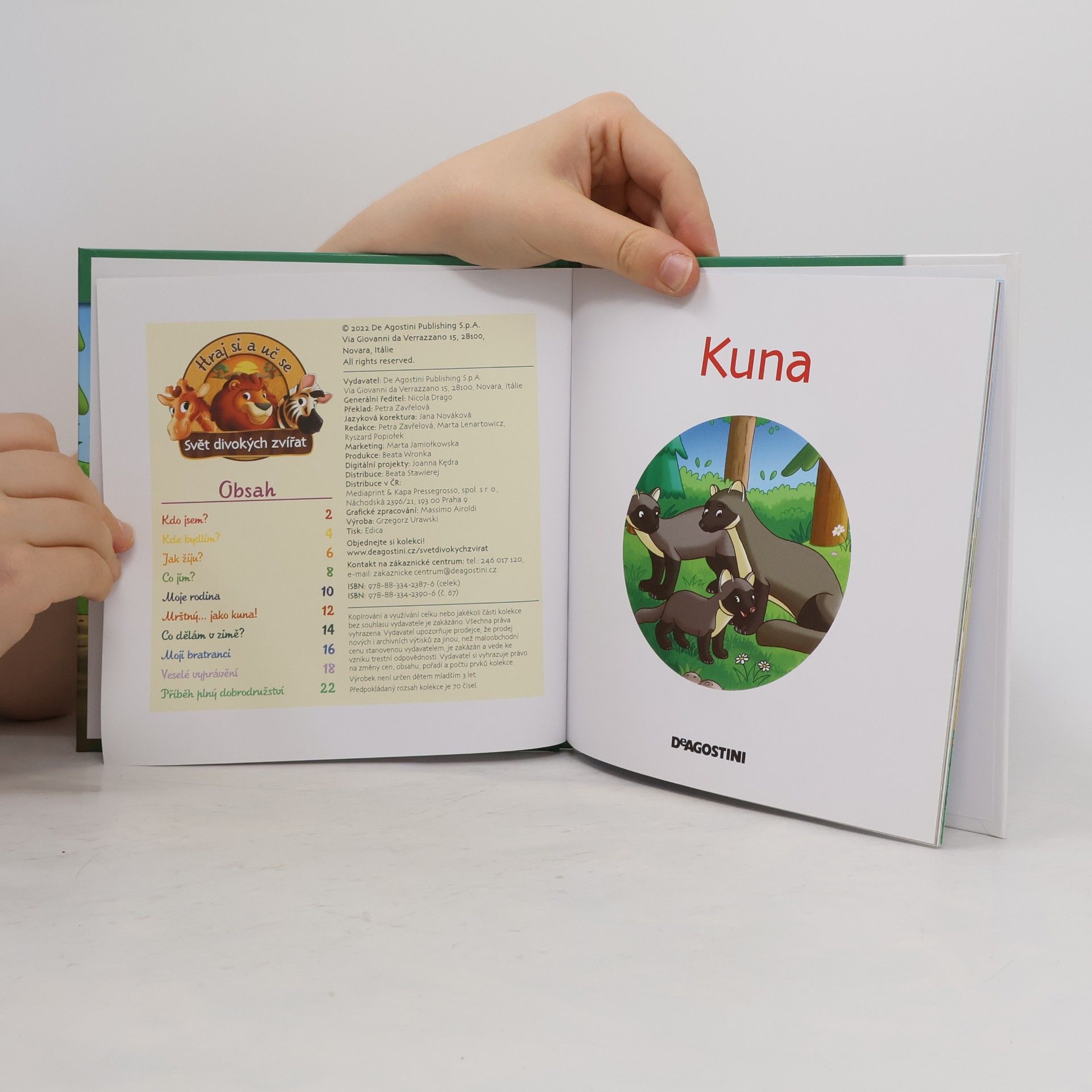 Autorenkollektiv Bydlím v lese 67. Kuna