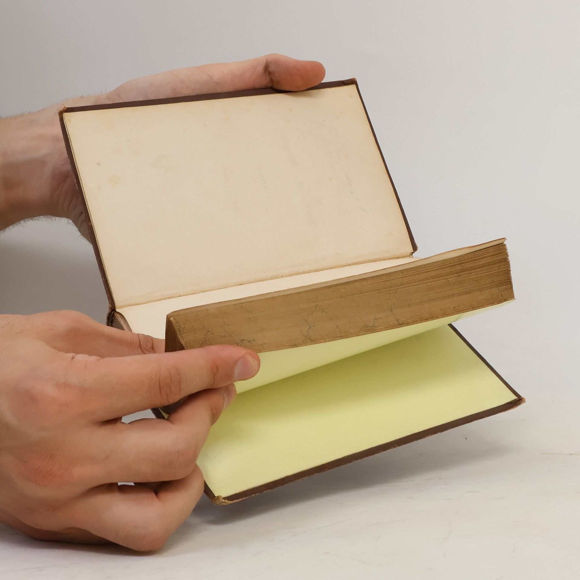Heinrich Heine Buch der Lieder