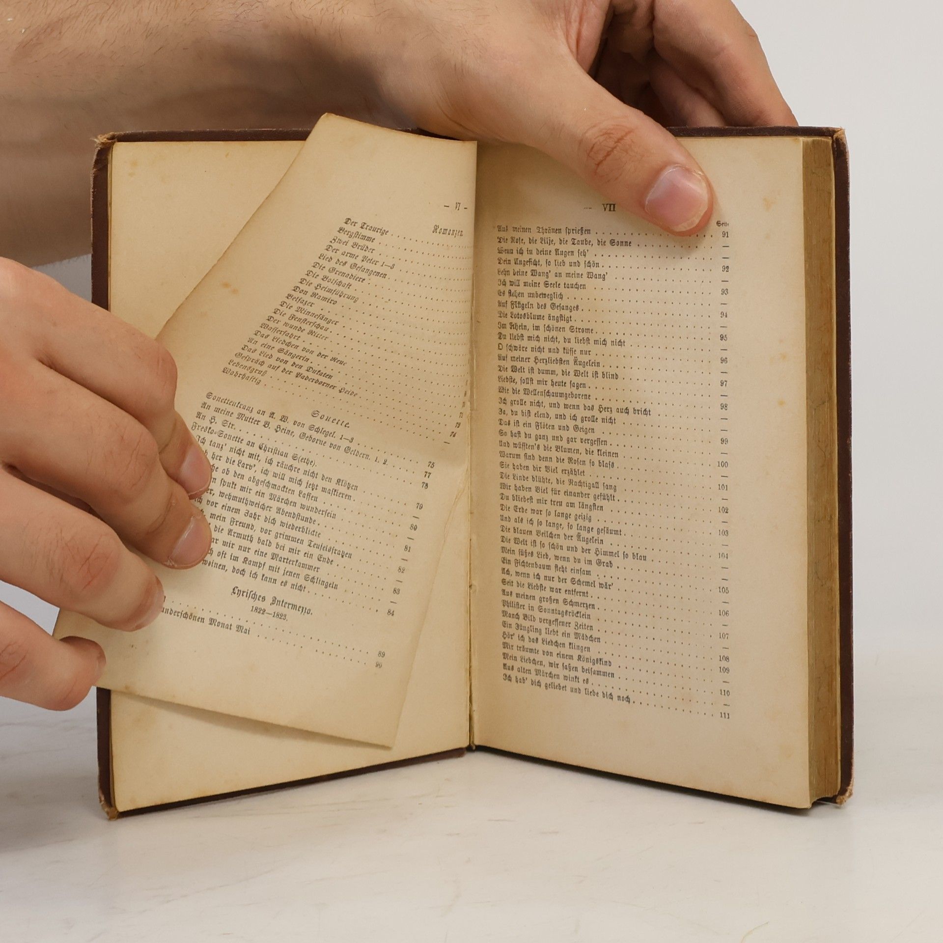 Heinrich Heine Buch der Lieder