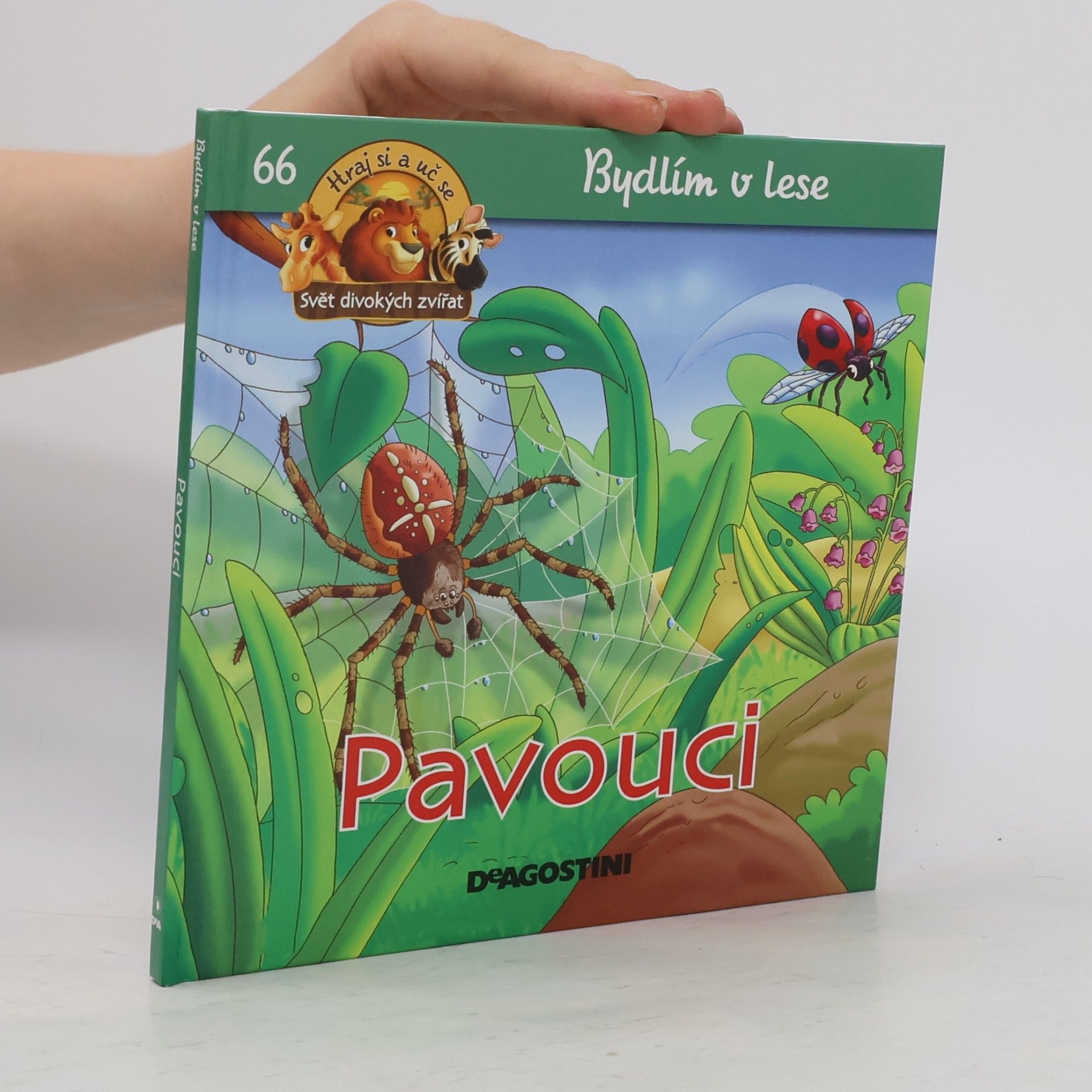 Collectif d'auteurs Bydlím v lese 66. Pavouci