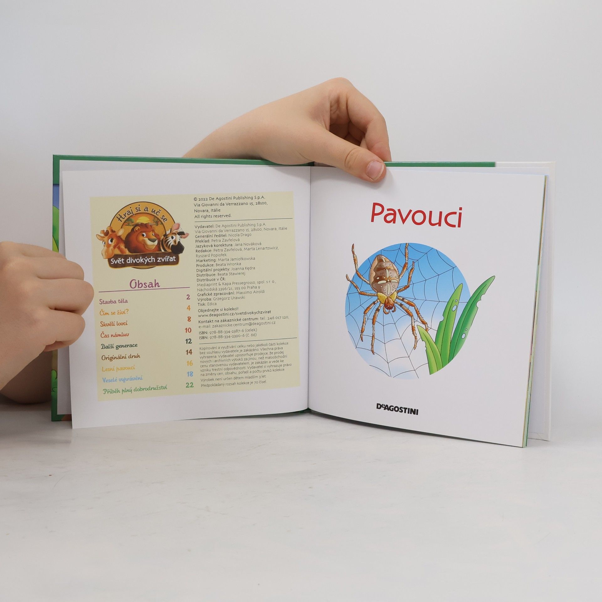 Autorenkollektiv Bydlím v lese 66. Pavouci