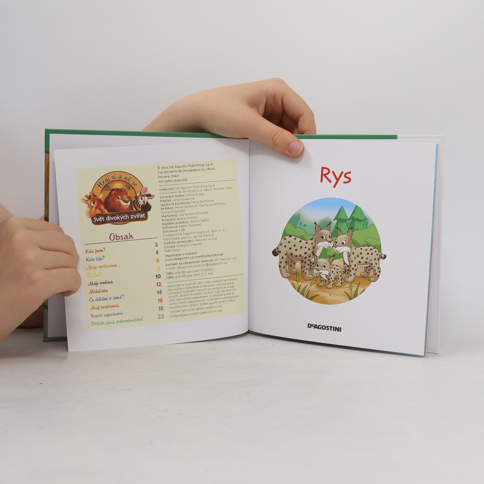 Kolektiv autorů Bydlím v lese 64. Rys