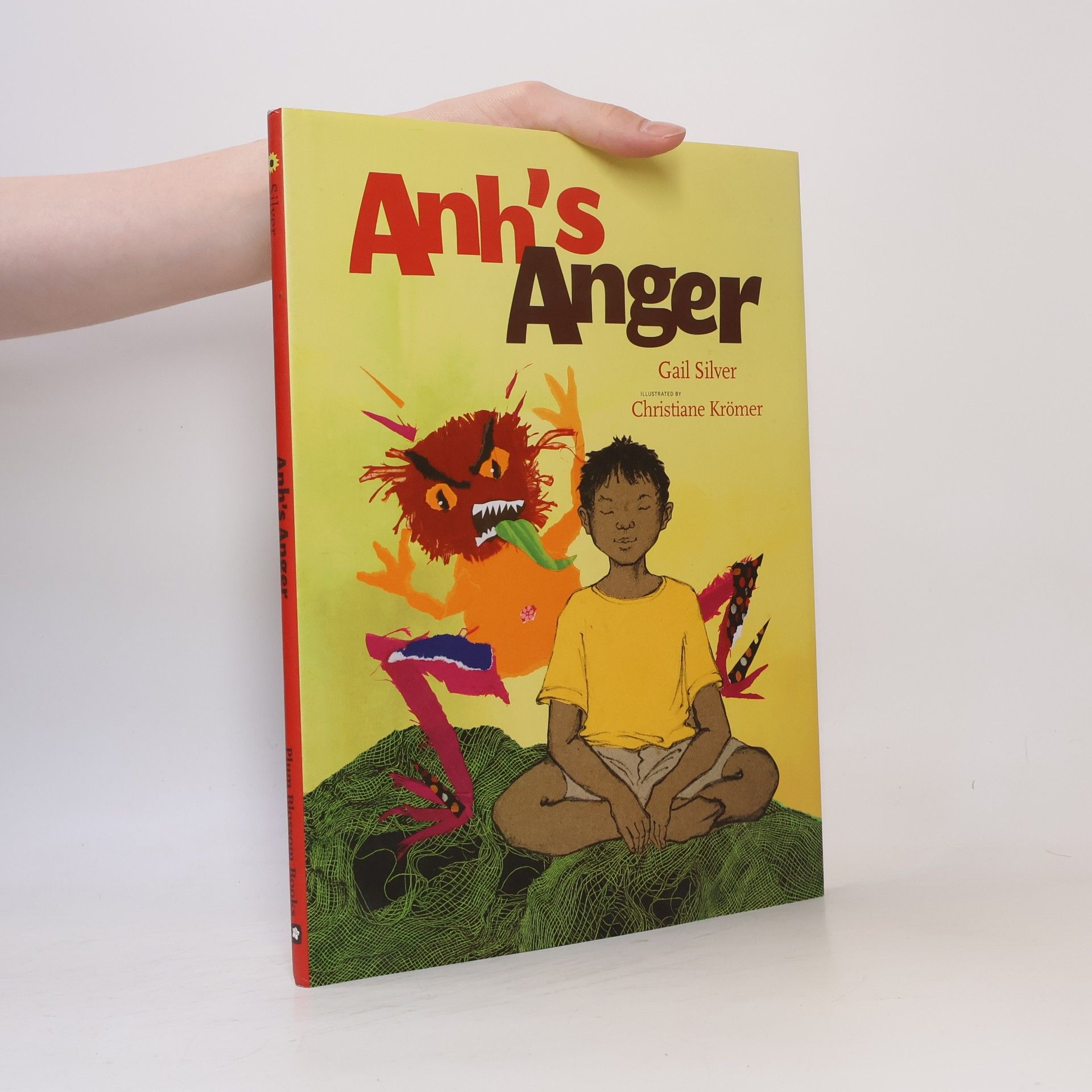 Christiane Krömer Anh's Anger