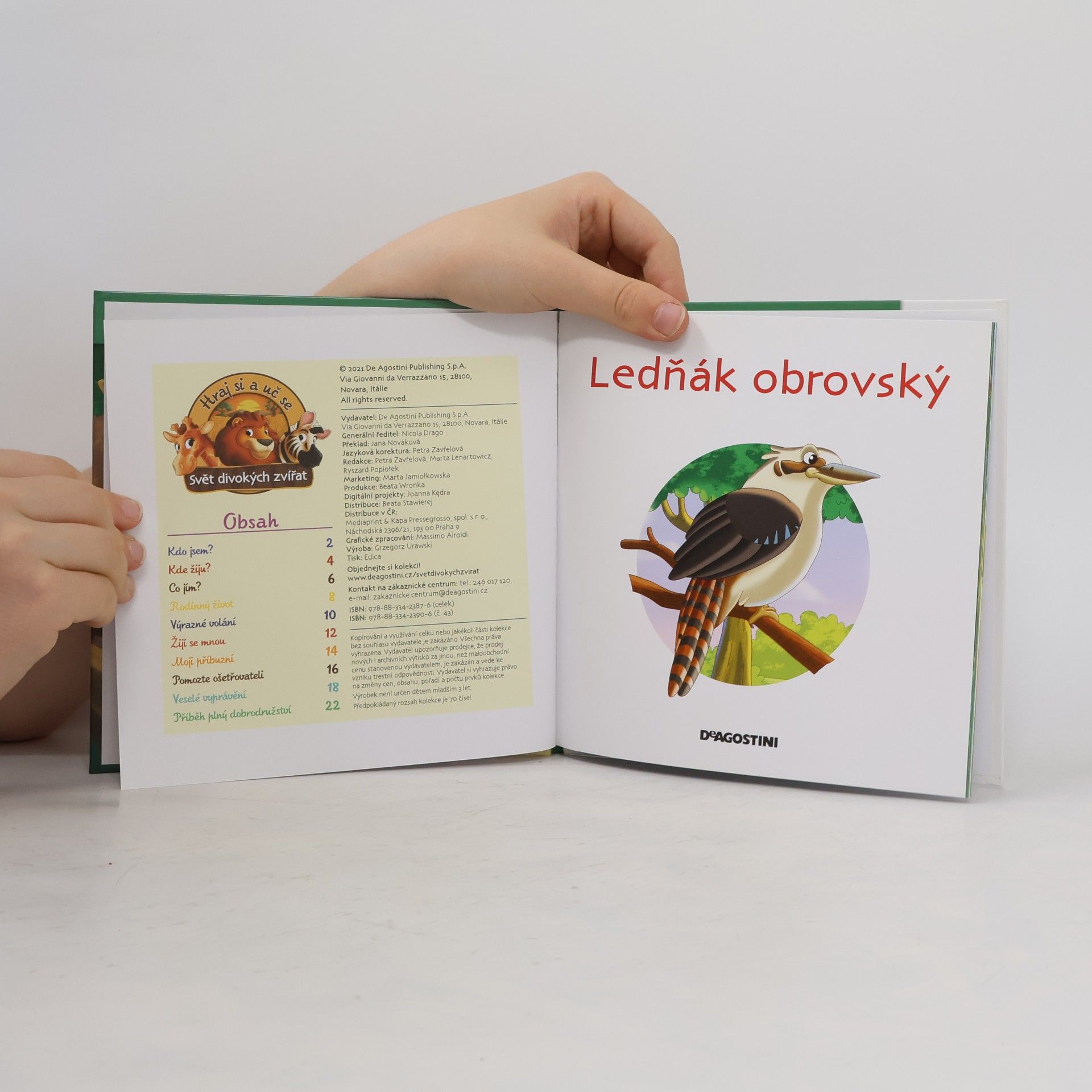 Autores varios Bydlím v lese 43. Ledňák obrovský