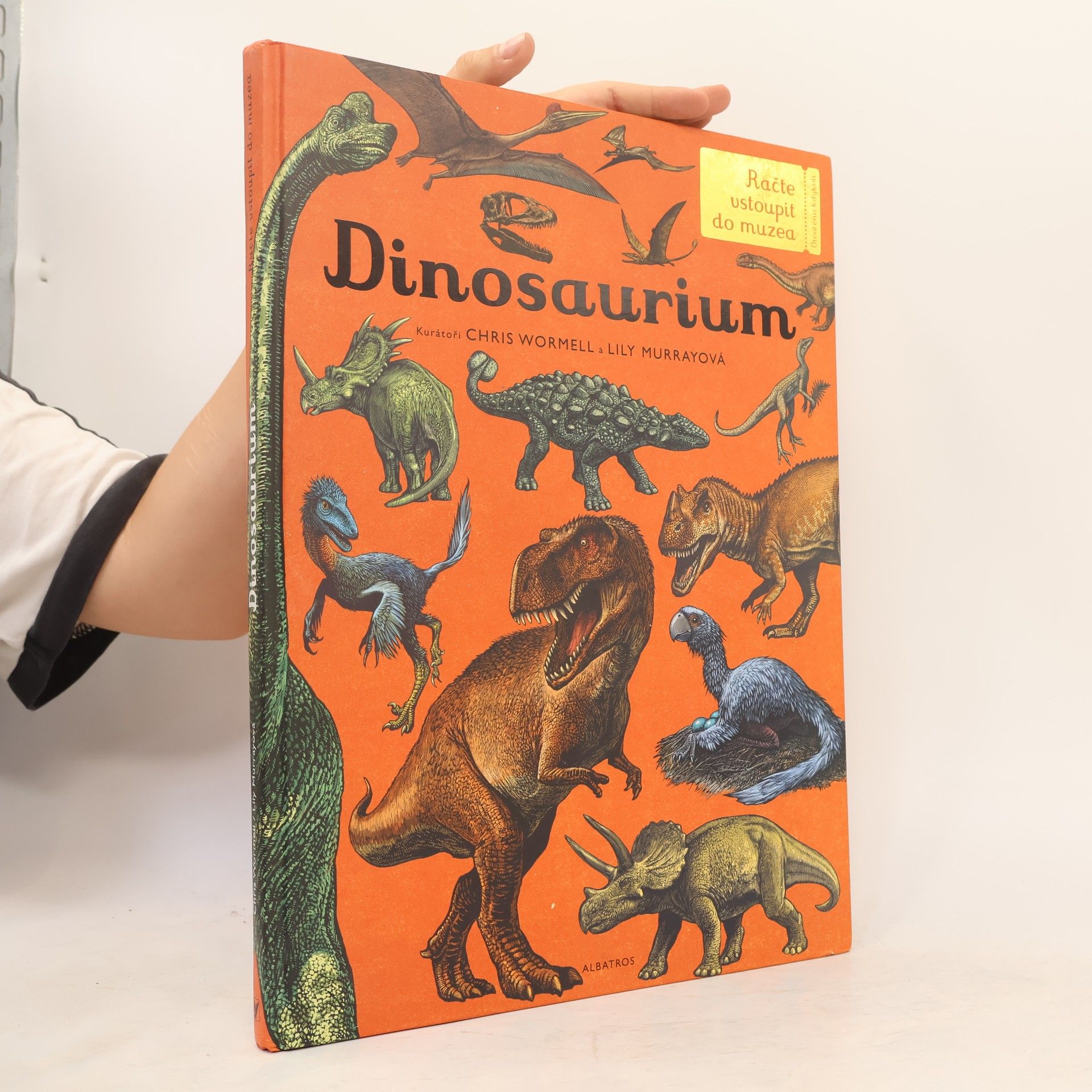 Lily Murray Dinosaurium
