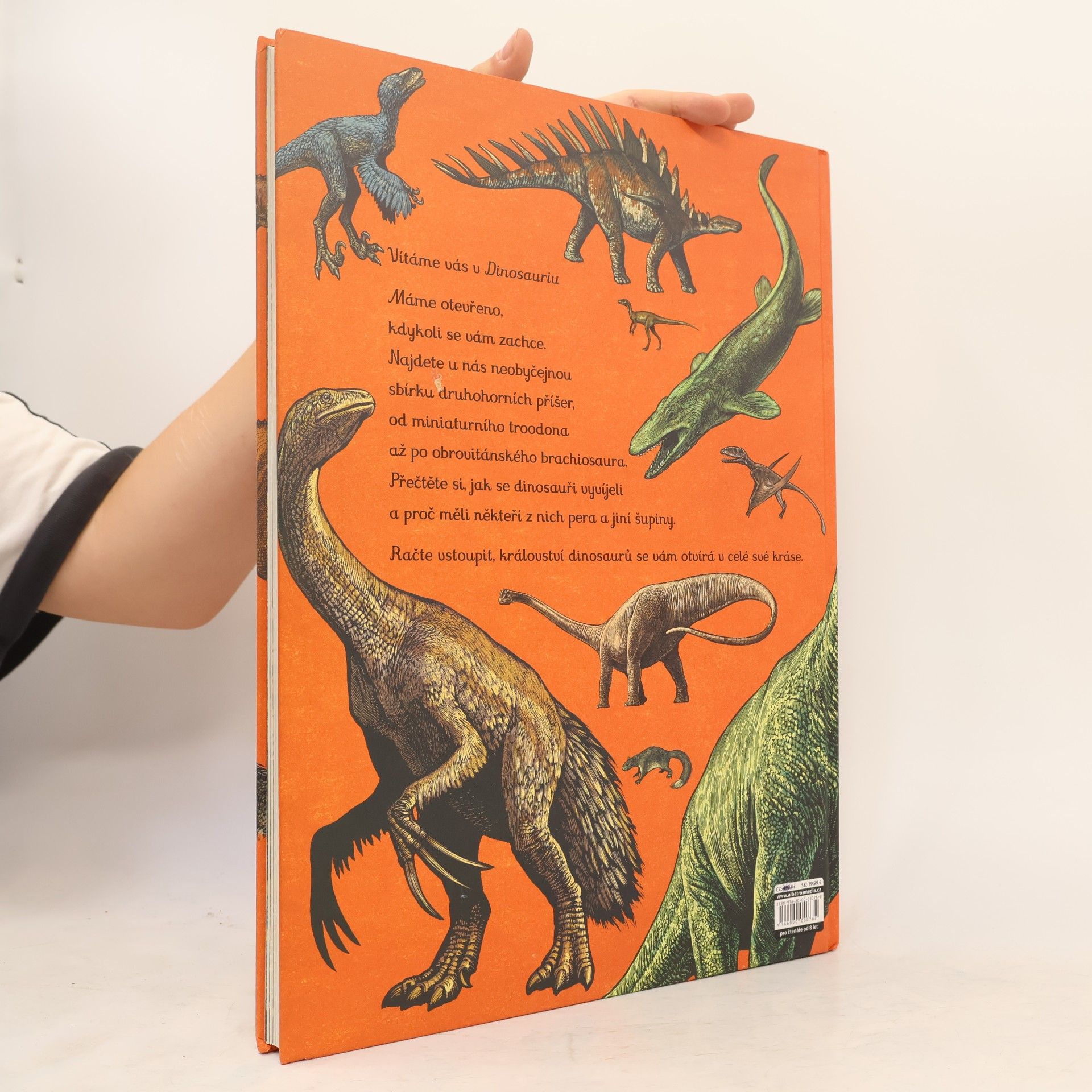 Lily Murray Dinosaurium