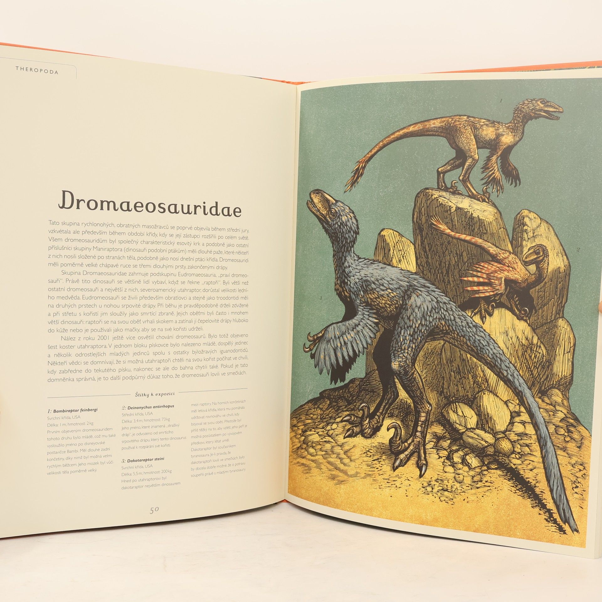 Lily Murray Dinosaurium