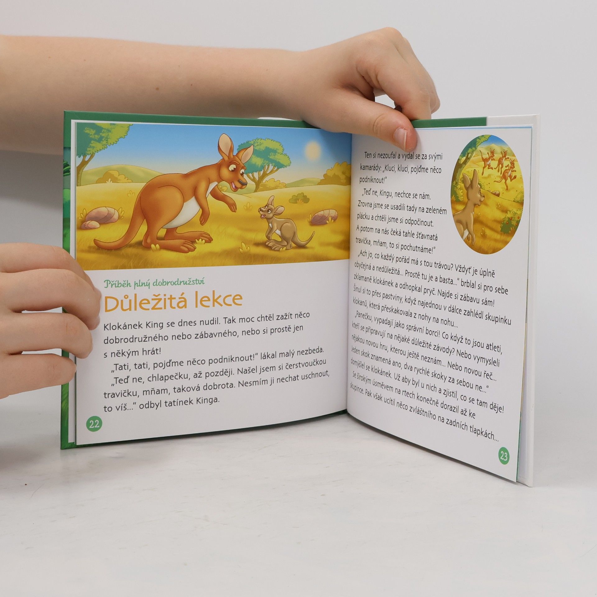 Various authors Bydlím v lese 35. Sklípkan