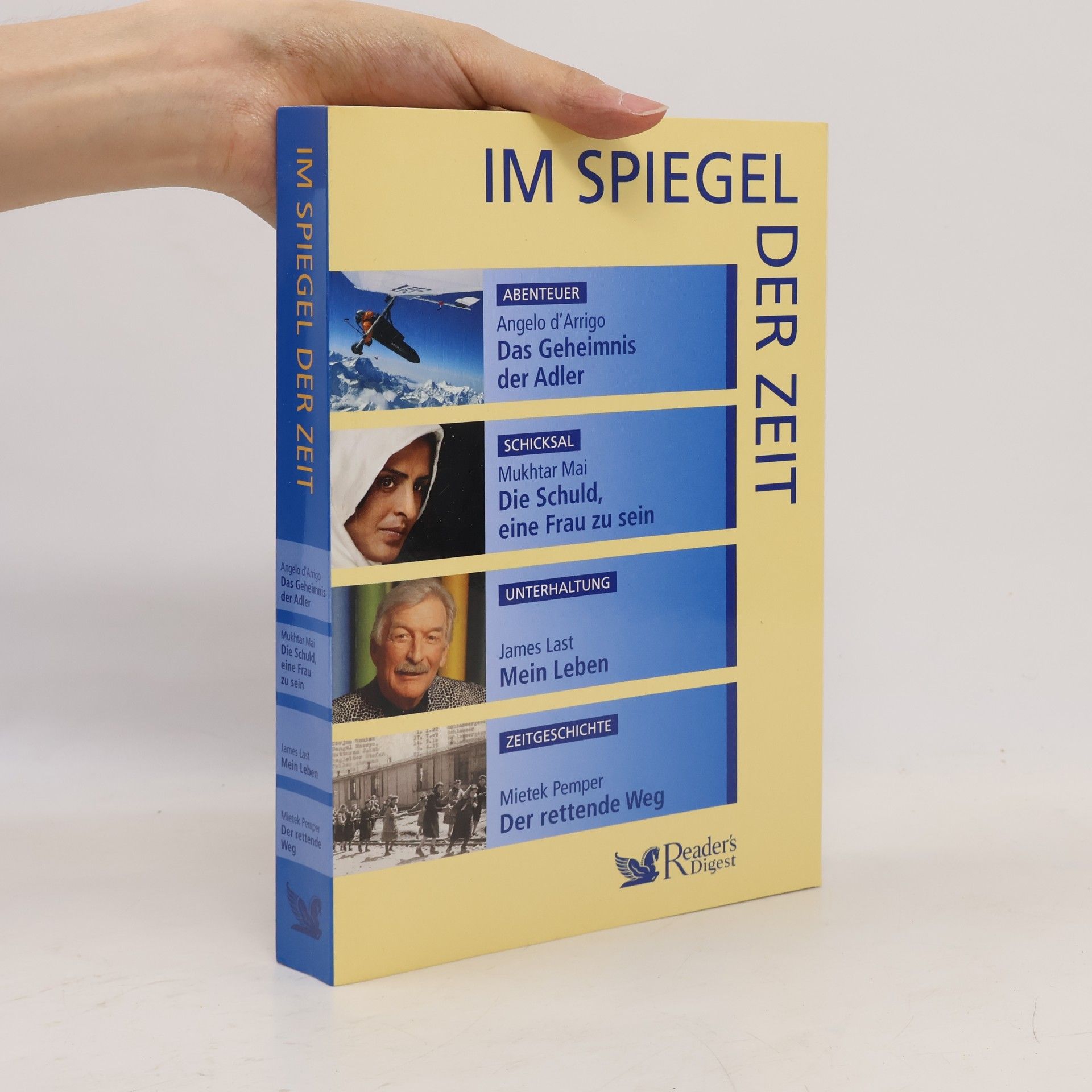 Angelo d´Arrigo Im spiegel der zait