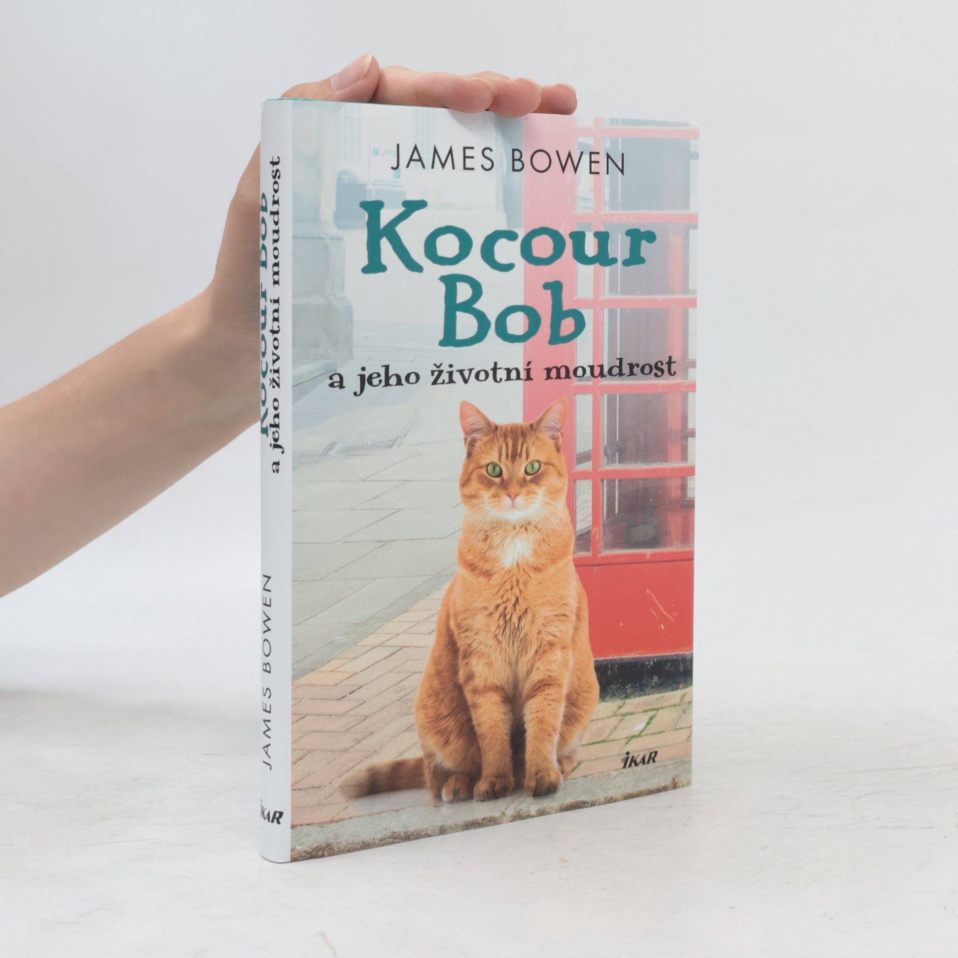 James Bowen Kocour Bob a jeho životní moudrost