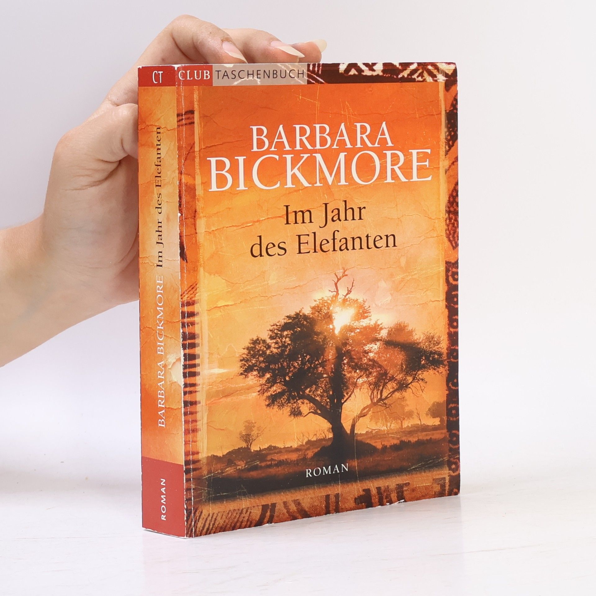 Barbara Bickmore Im Jahr des Elefanten