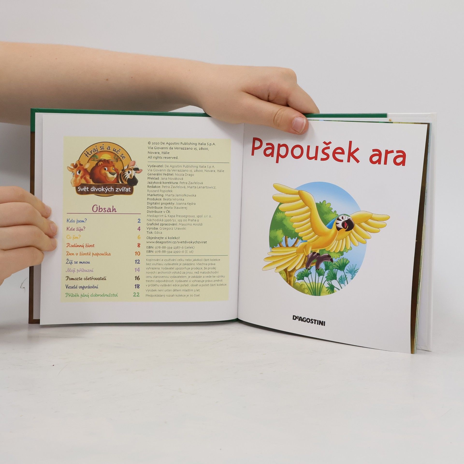 Autorenkollektiv Bydlím v lese 16. Papoušek ara