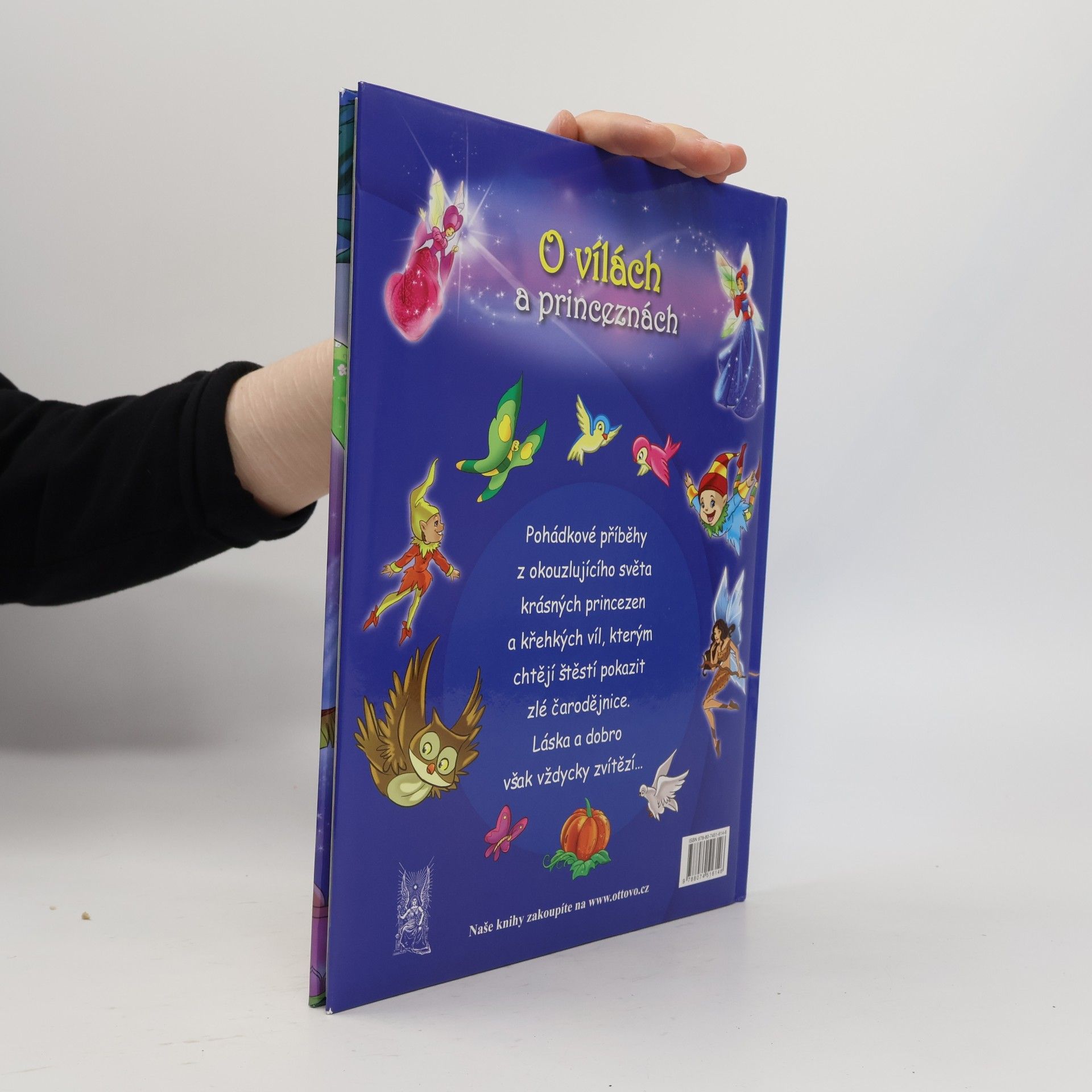 Collectif d'auteurs O vílach a princeznách