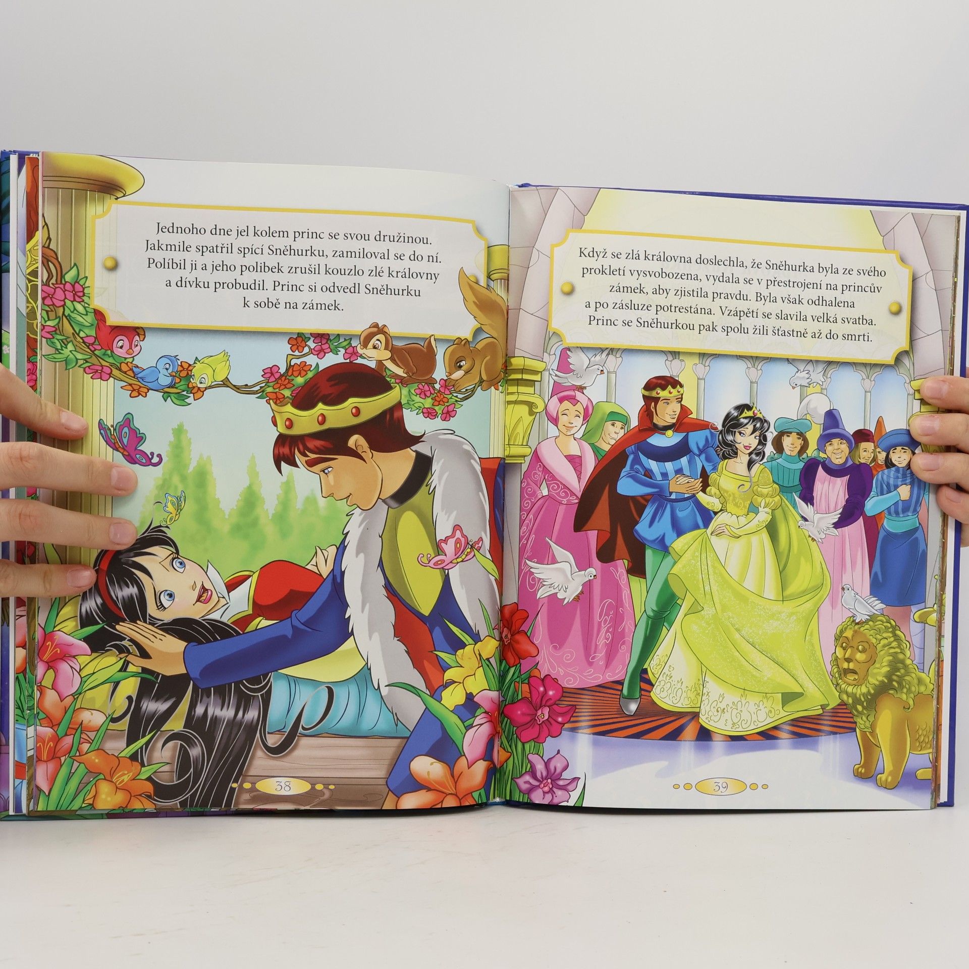 Collectif d'auteurs O vílach a princeznách