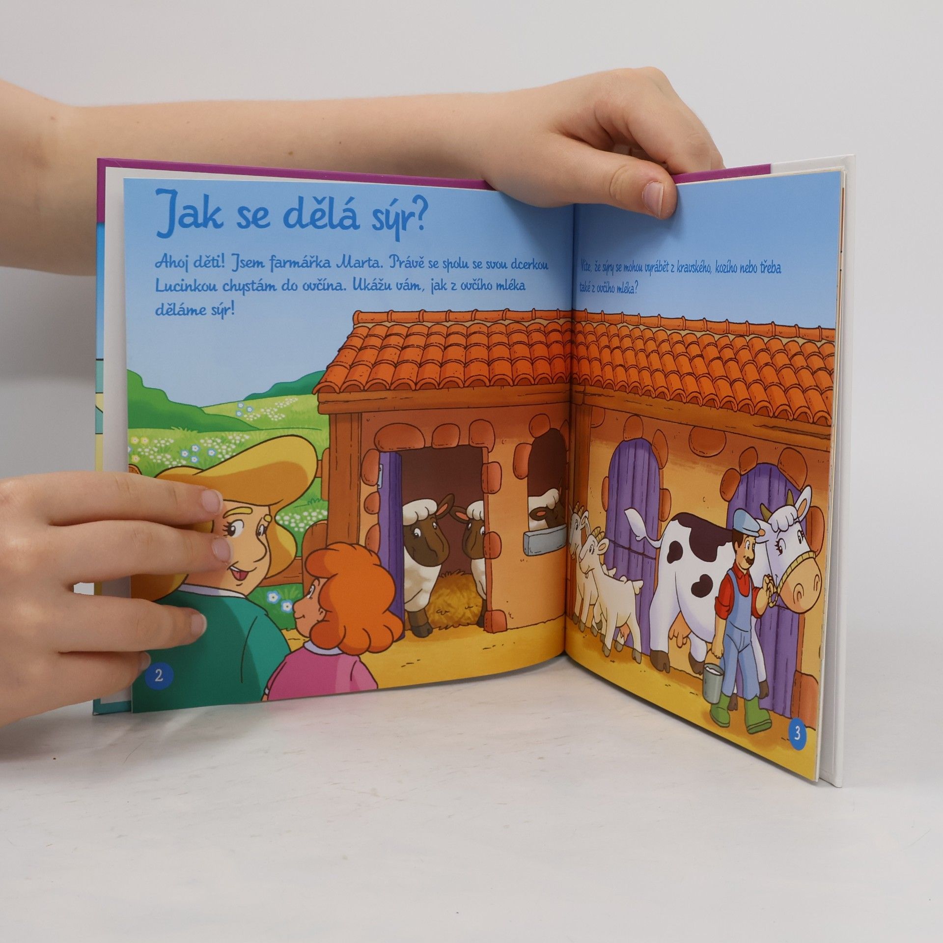Kolektiv autorů Výrobky z venkova 43. Sýr