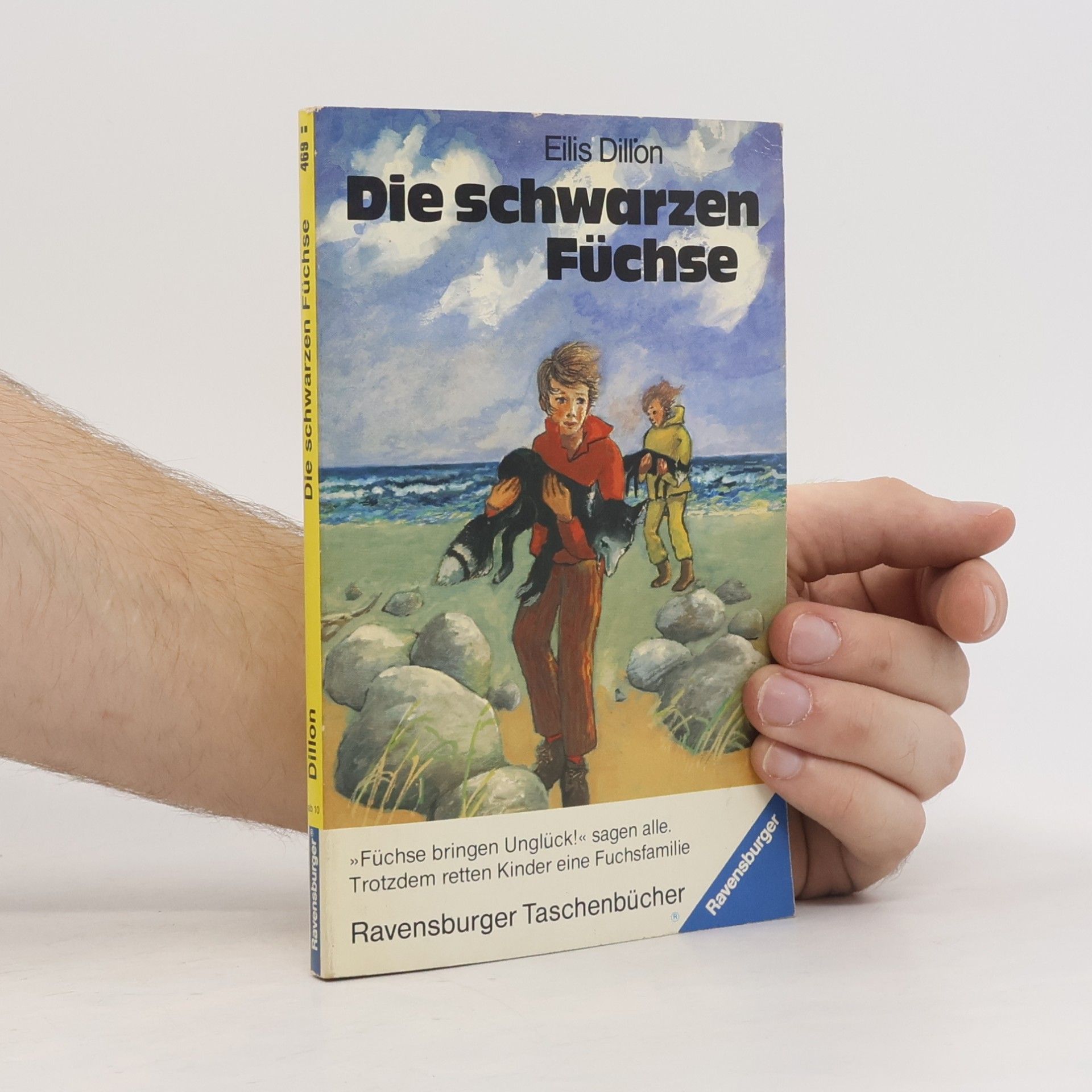 Eilís Dillon Die schwarzen Füchse