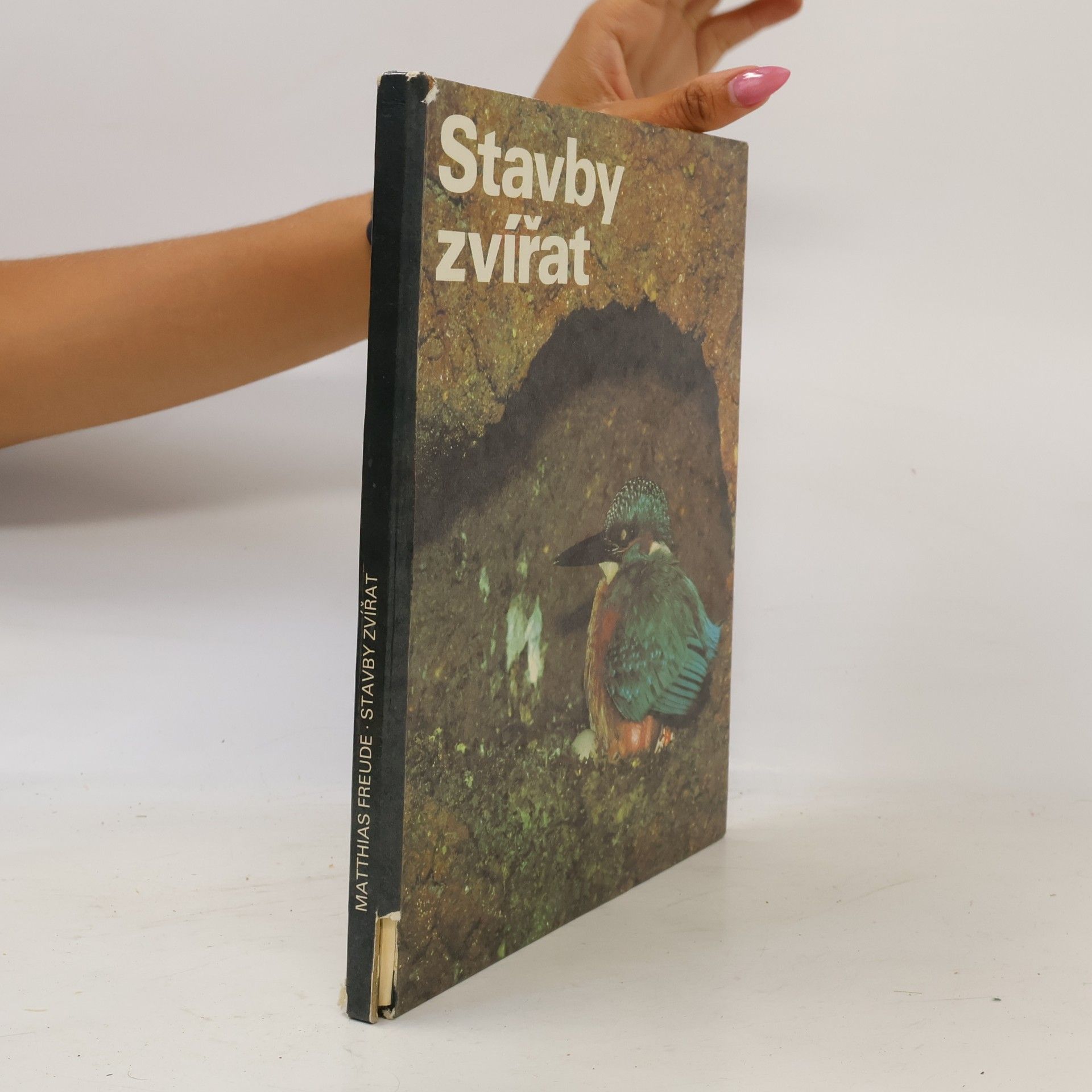 Jörg Parschau Stavby zvířat