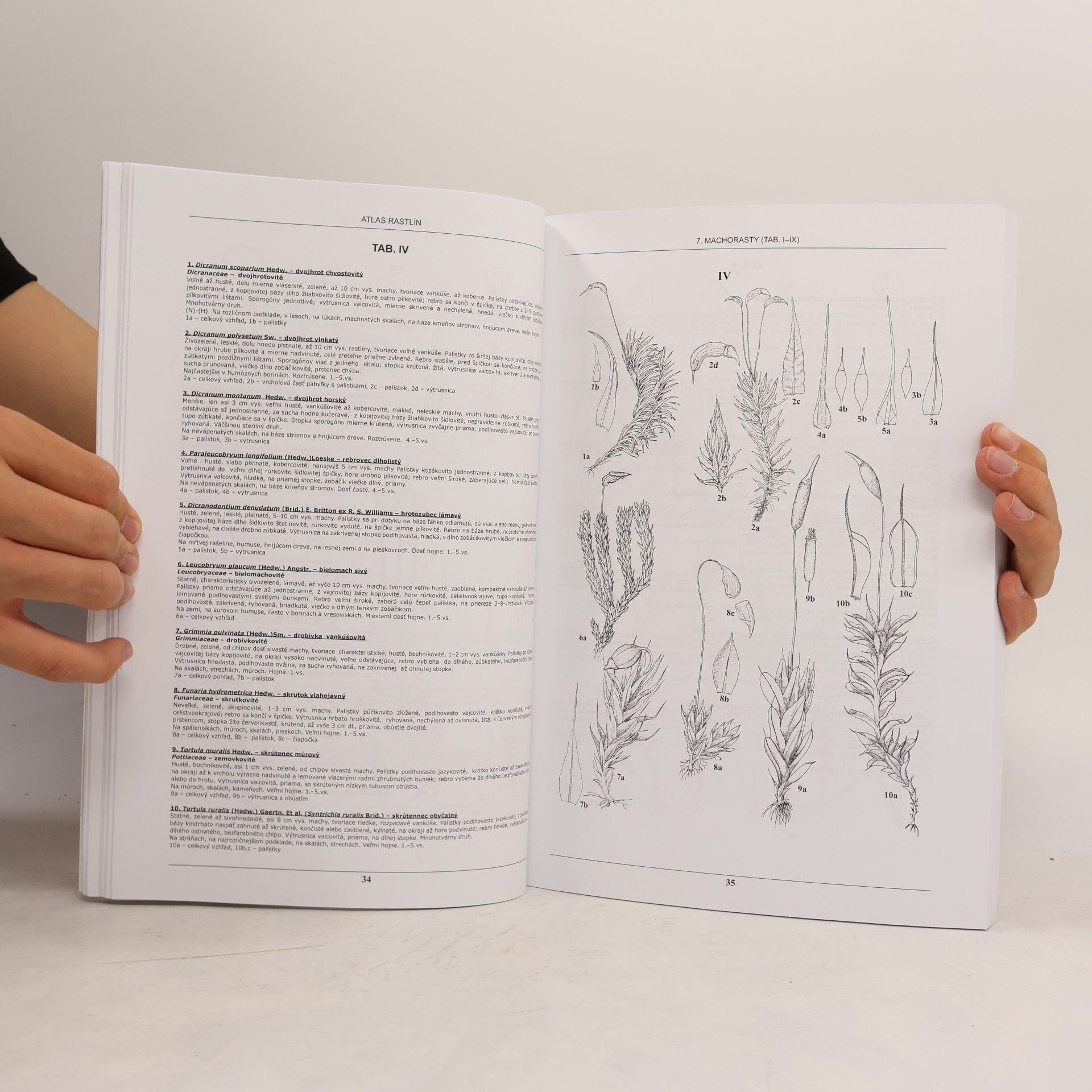 Eva Křížová Atlas rastlín