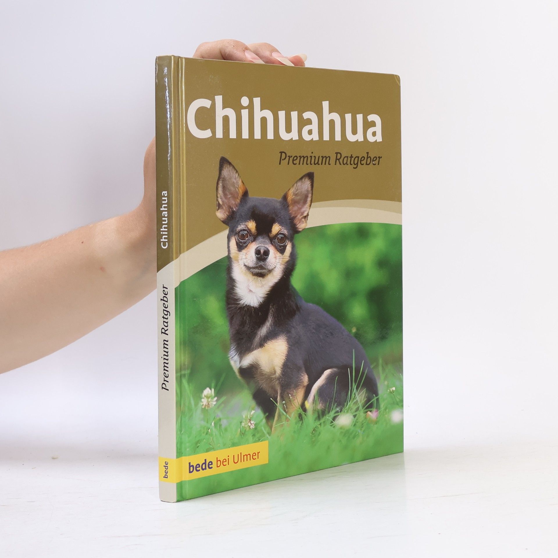Kolektív autorov Chihuahua