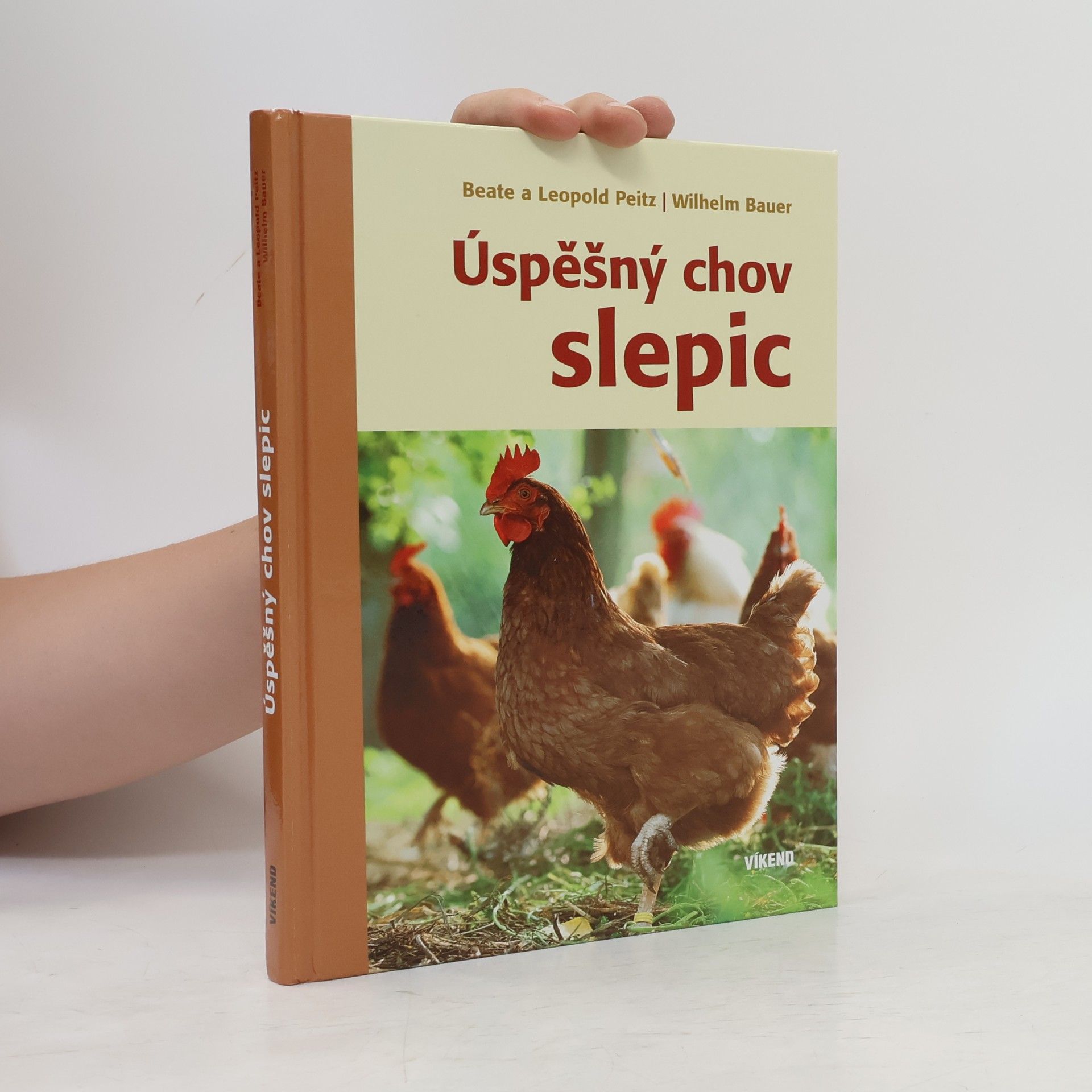 Úspěšný chov slepic