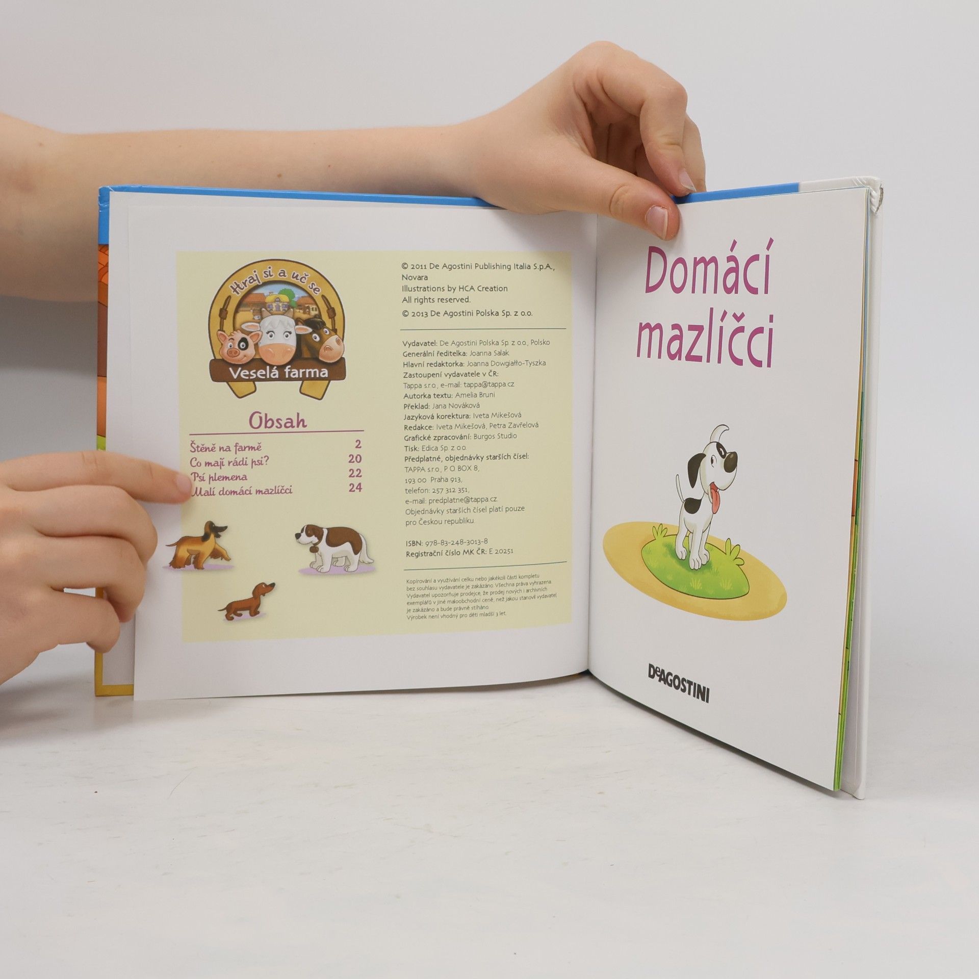 Kolektiv autorů V hospodářství 39. Domácí mazlíčci