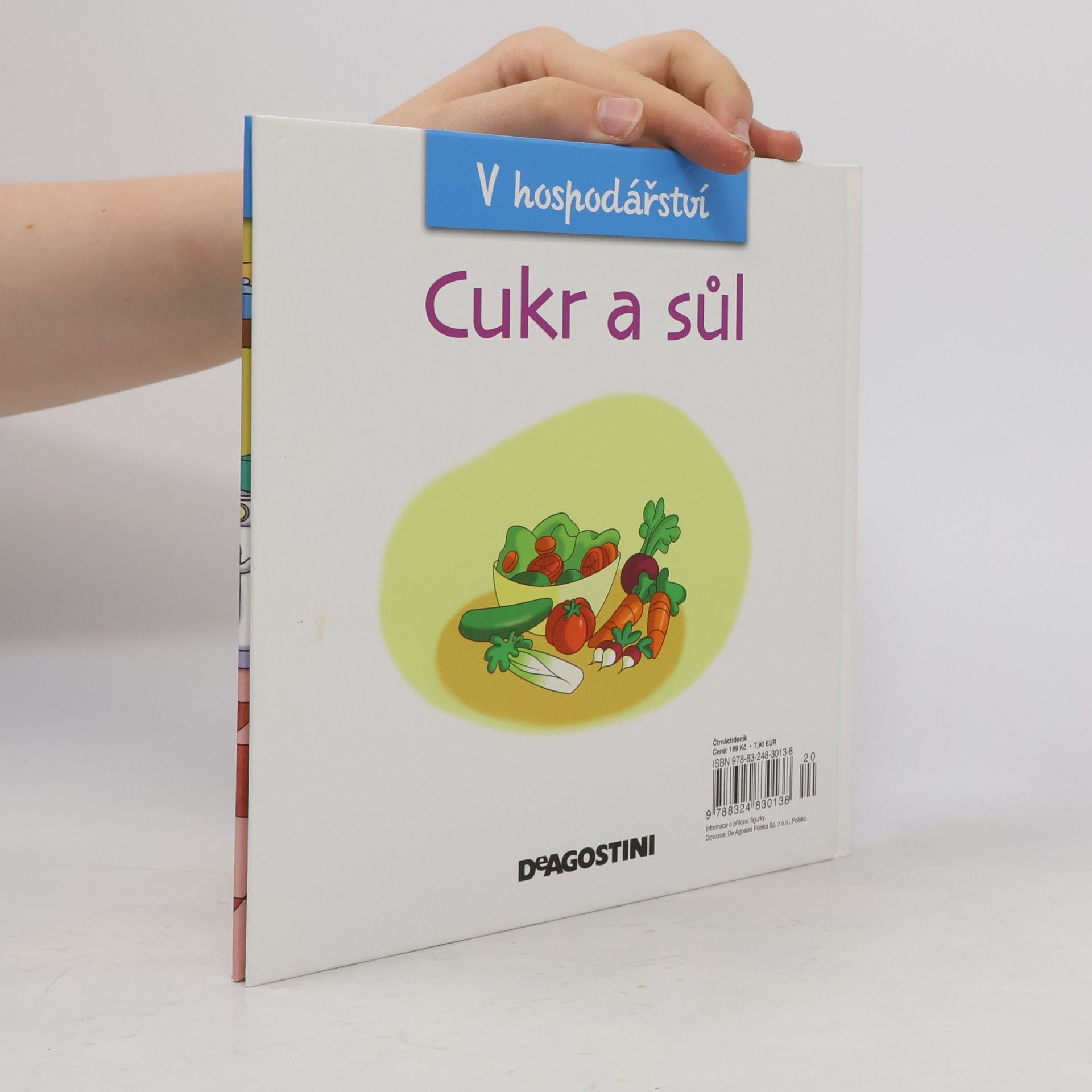 Kolektiv autorů V hospodářství 33. Cukr a sůl