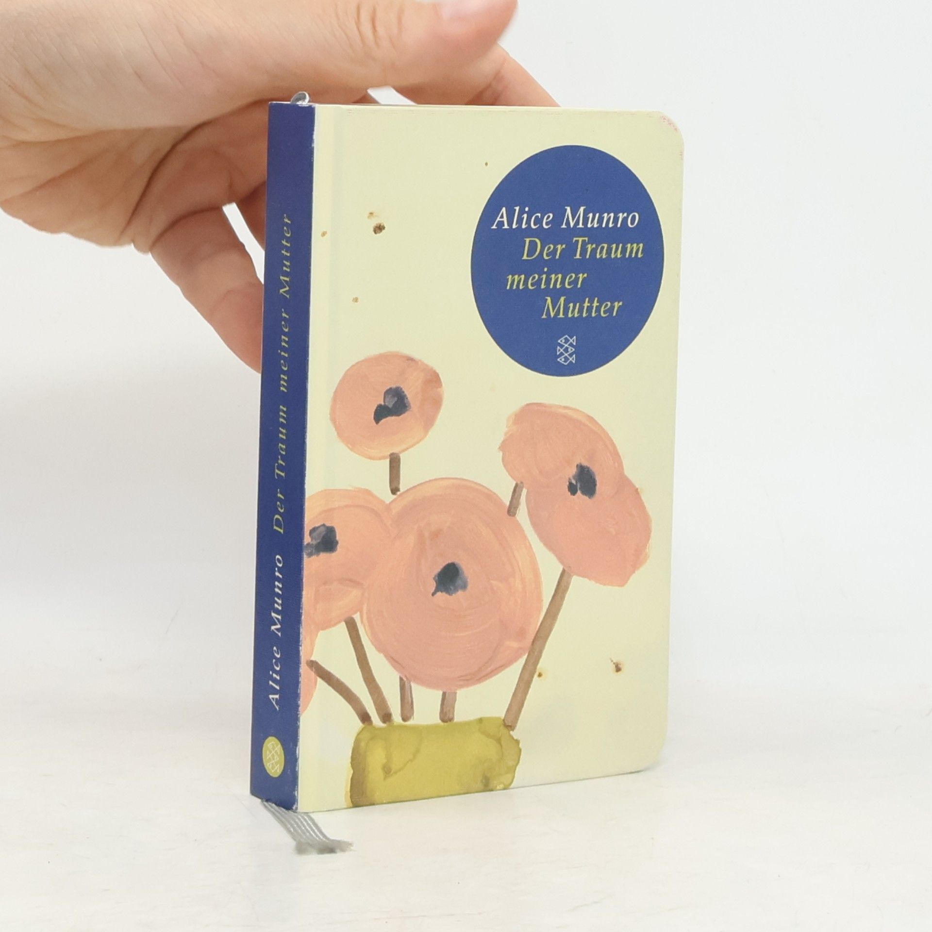 Alice Munroová Der Traum meiner Mutter