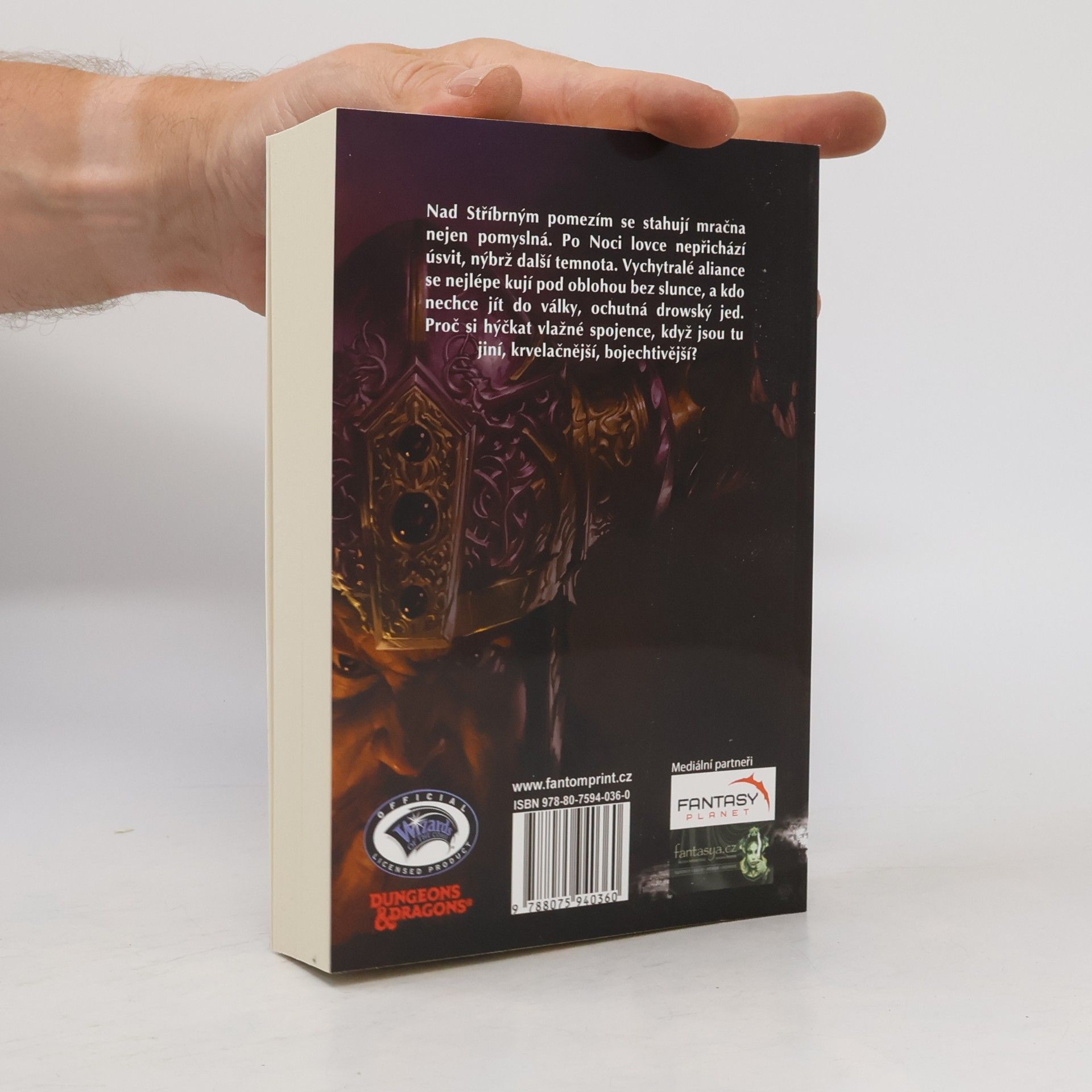R. A. Salvatore Kodex společníků. II., Vzestup krále
