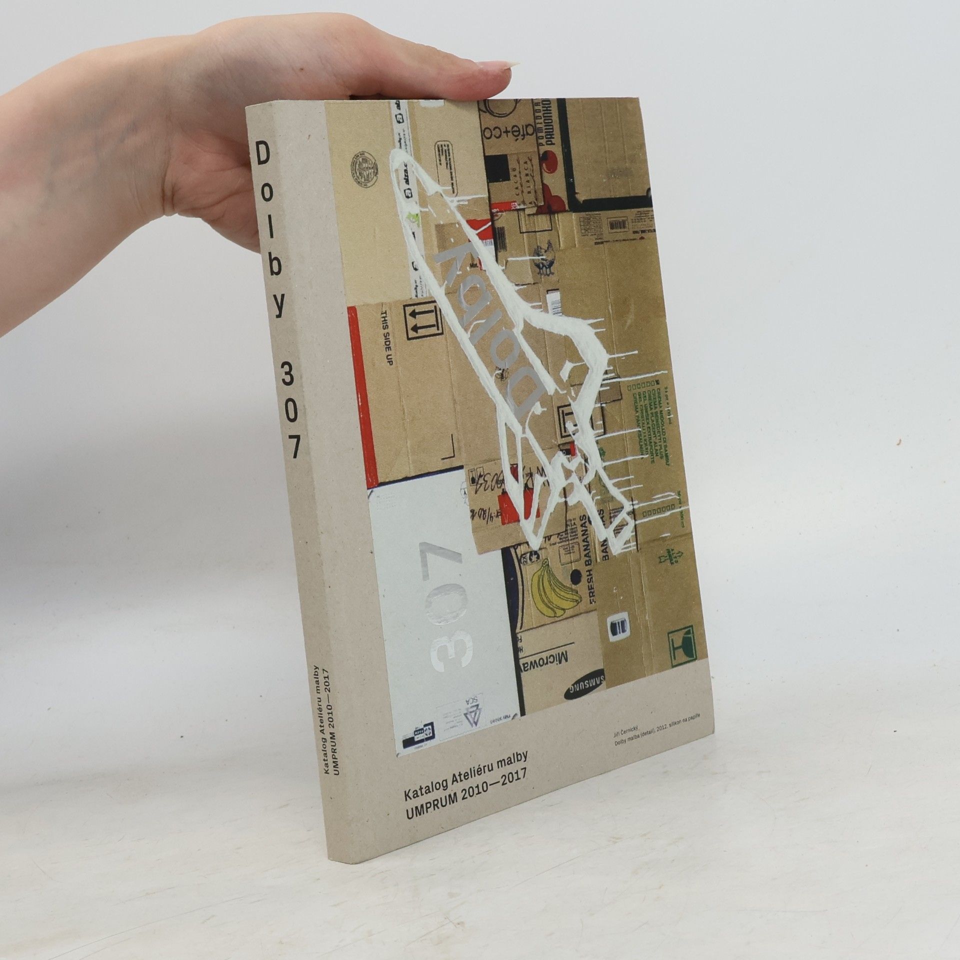 Eva Skopalová Dolby 307 - Katalog Ateliéru malby UMPRUM 2010–2017