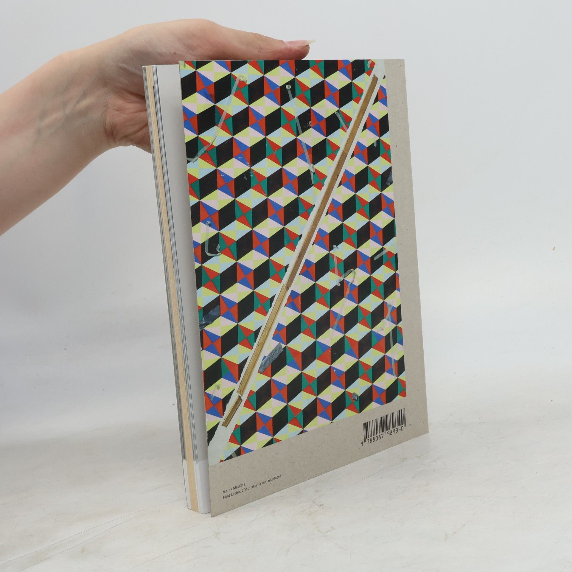 Eva Skopalová Dolby 307 - Katalog Ateliéru malby UMPRUM 2010–2017