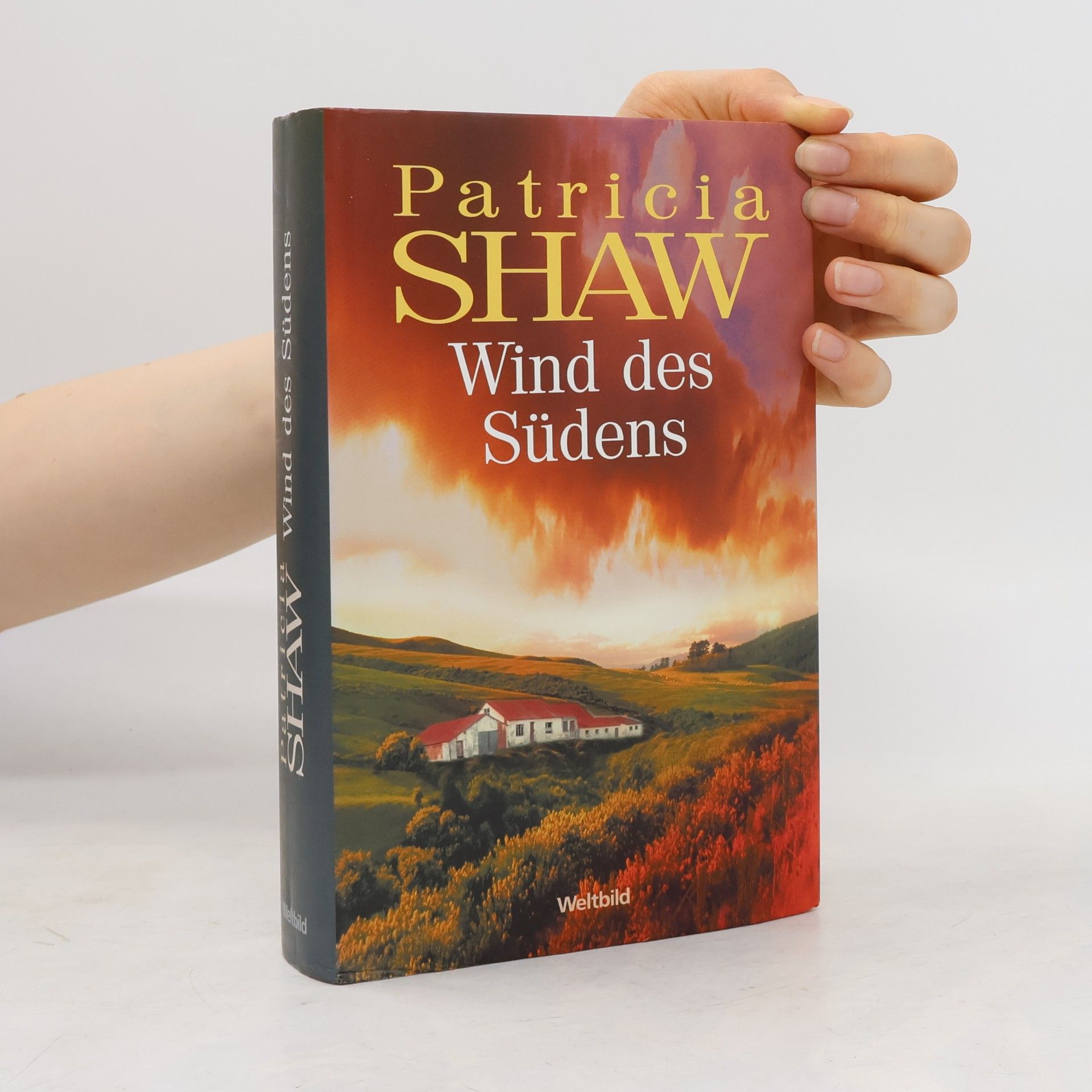 Patricia Shaw Wind des Südens