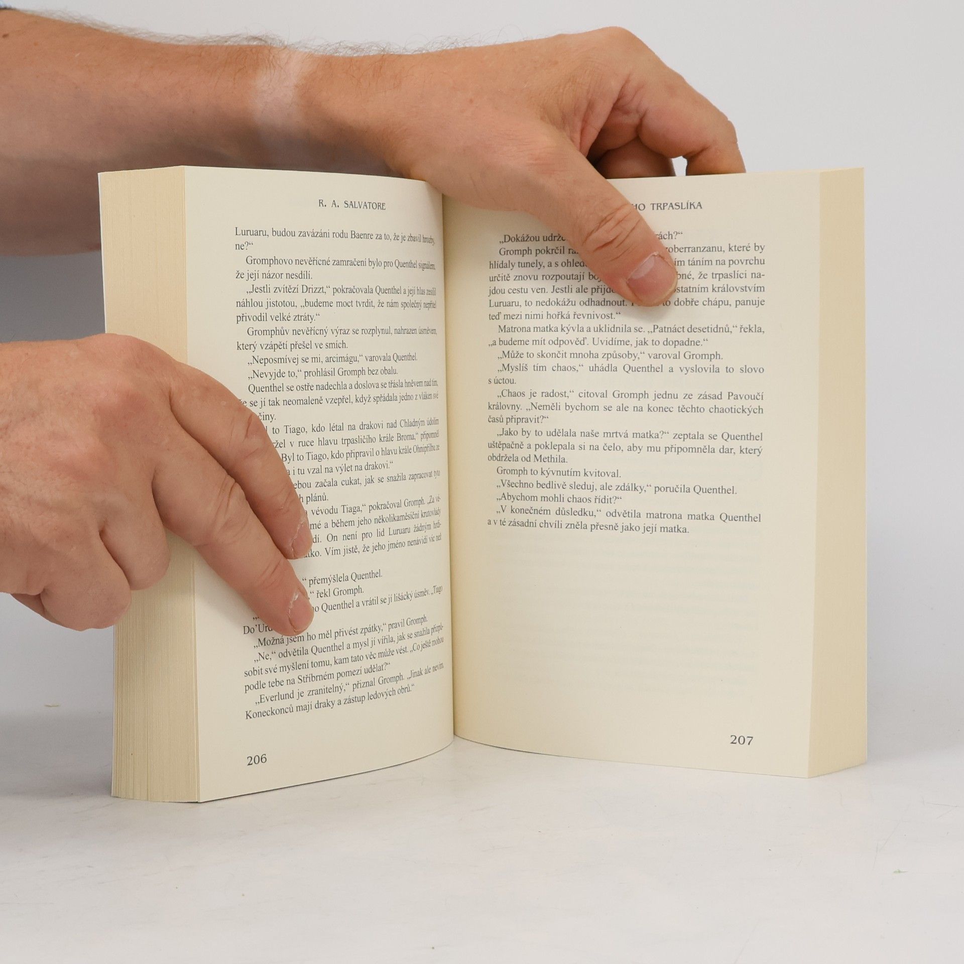 R. A. Salvatore Kodex společníků. III., Pomsta železného trpaslíka