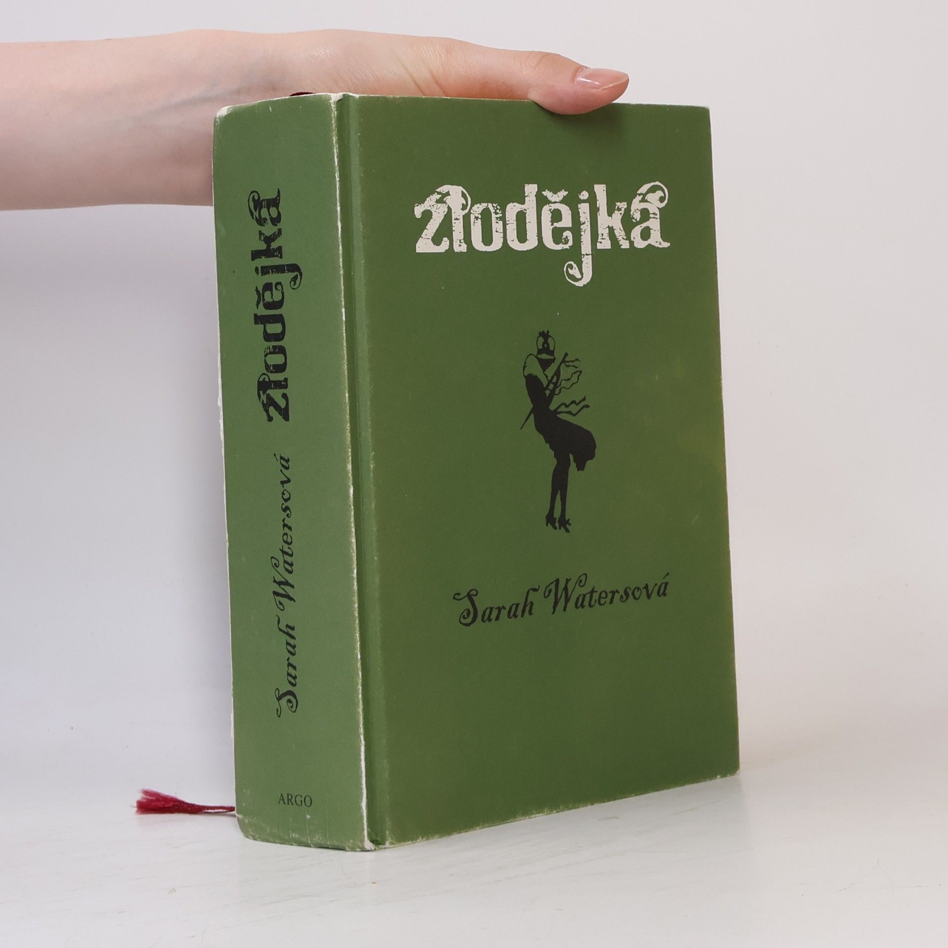 Sarah Waters Zlodějka
